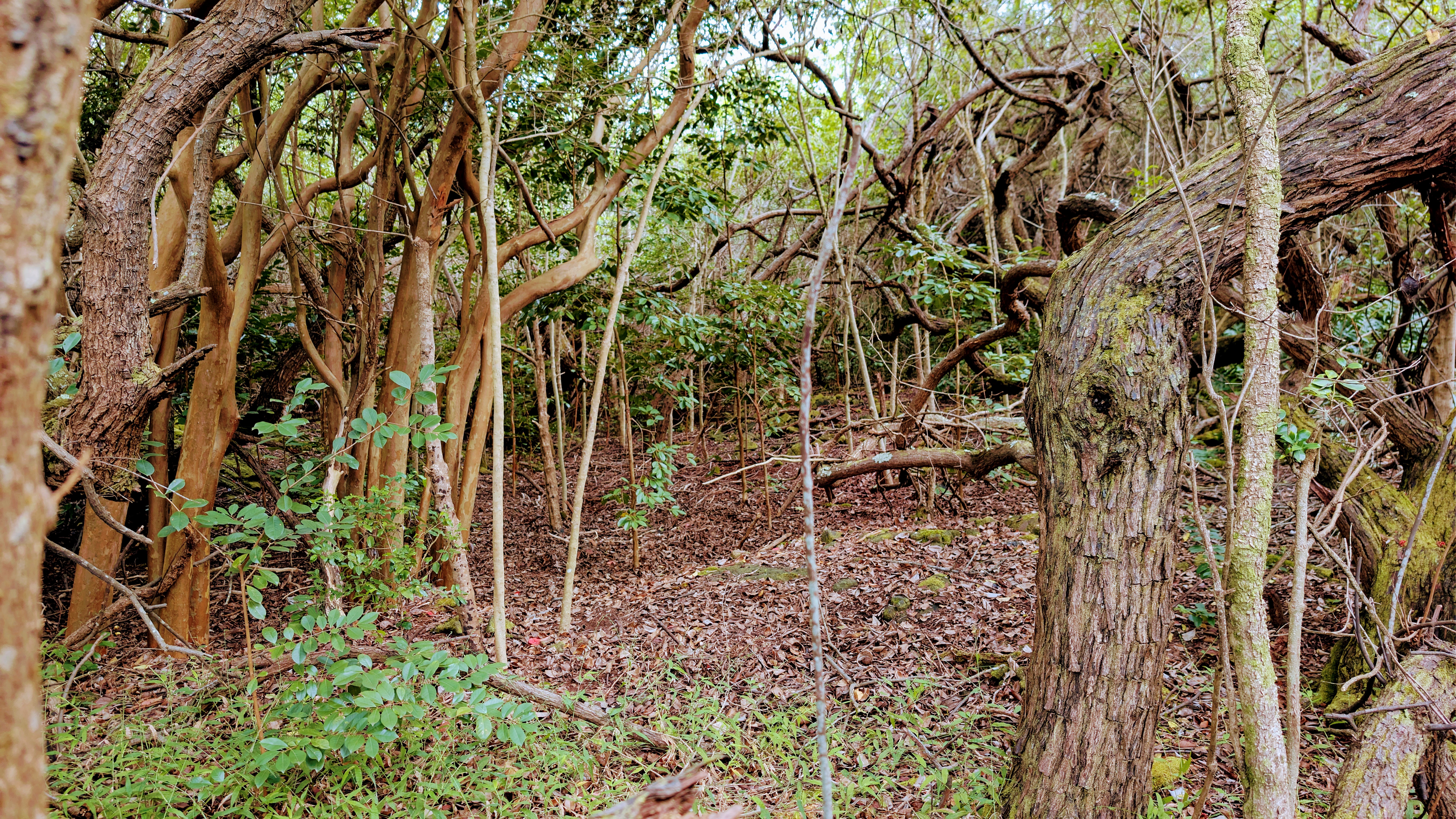 94-6579 Kamaoa Rd Property Photo 3