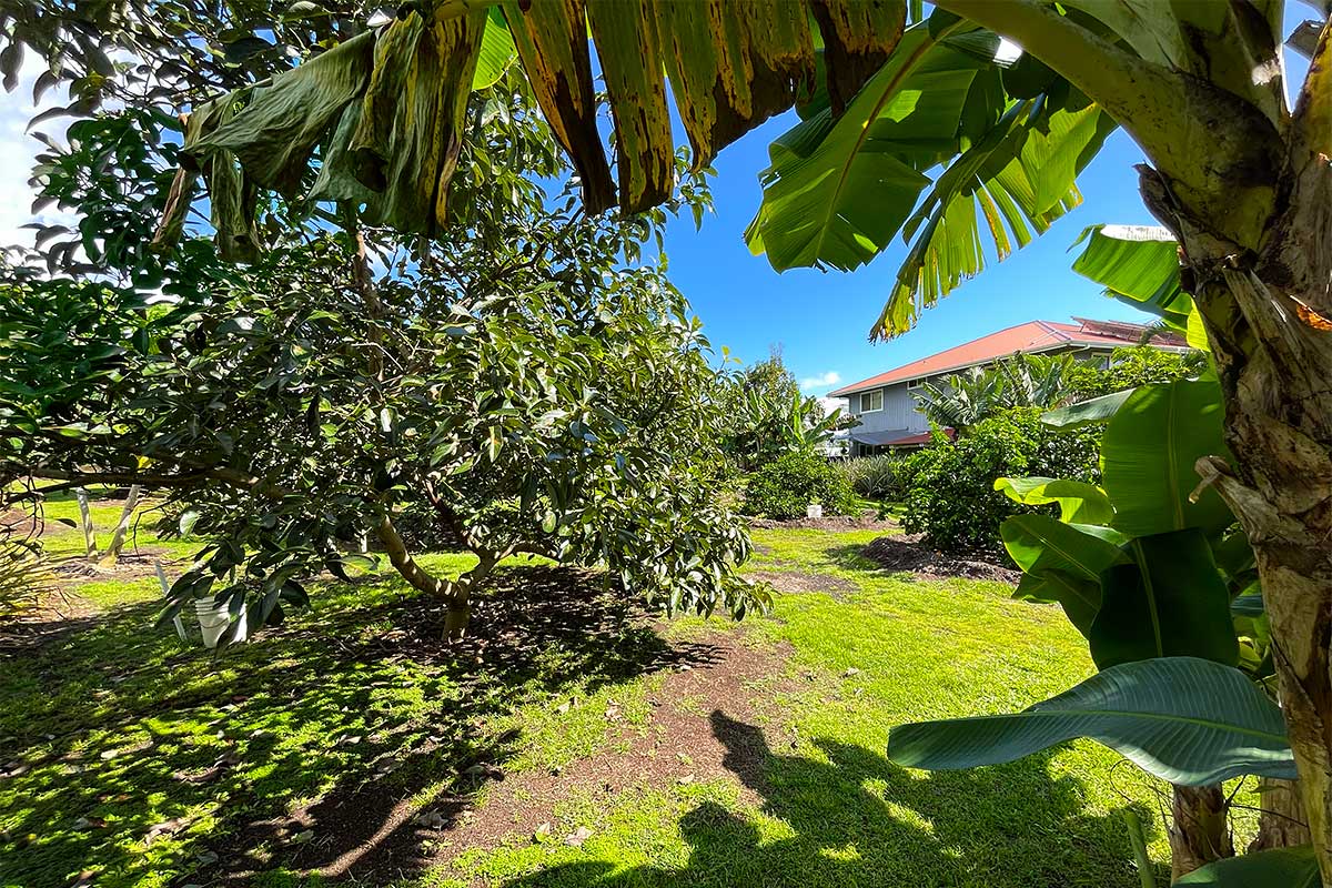 Mapuana Ave Property Photo 24