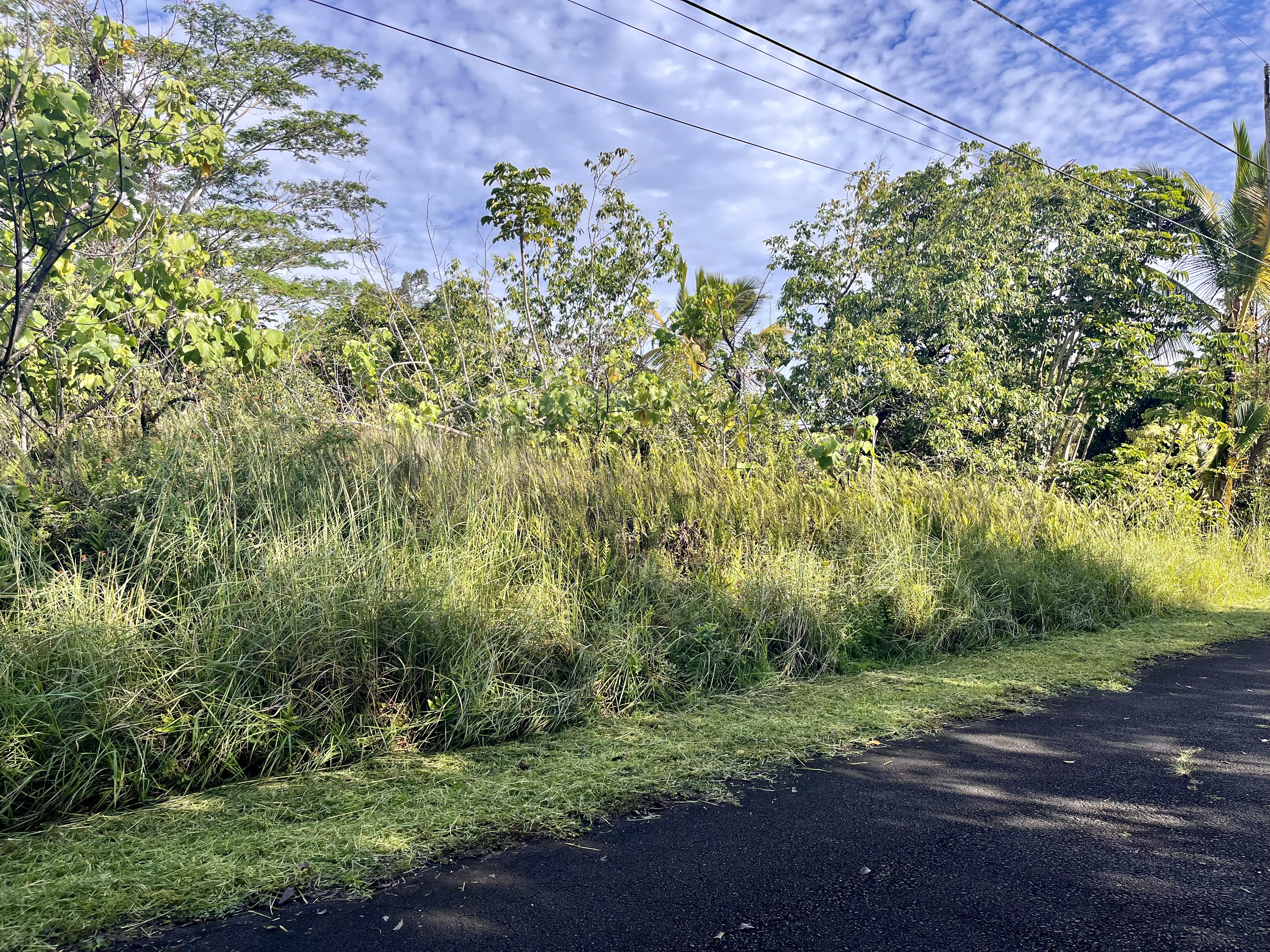 Puulena St Property Photo 2