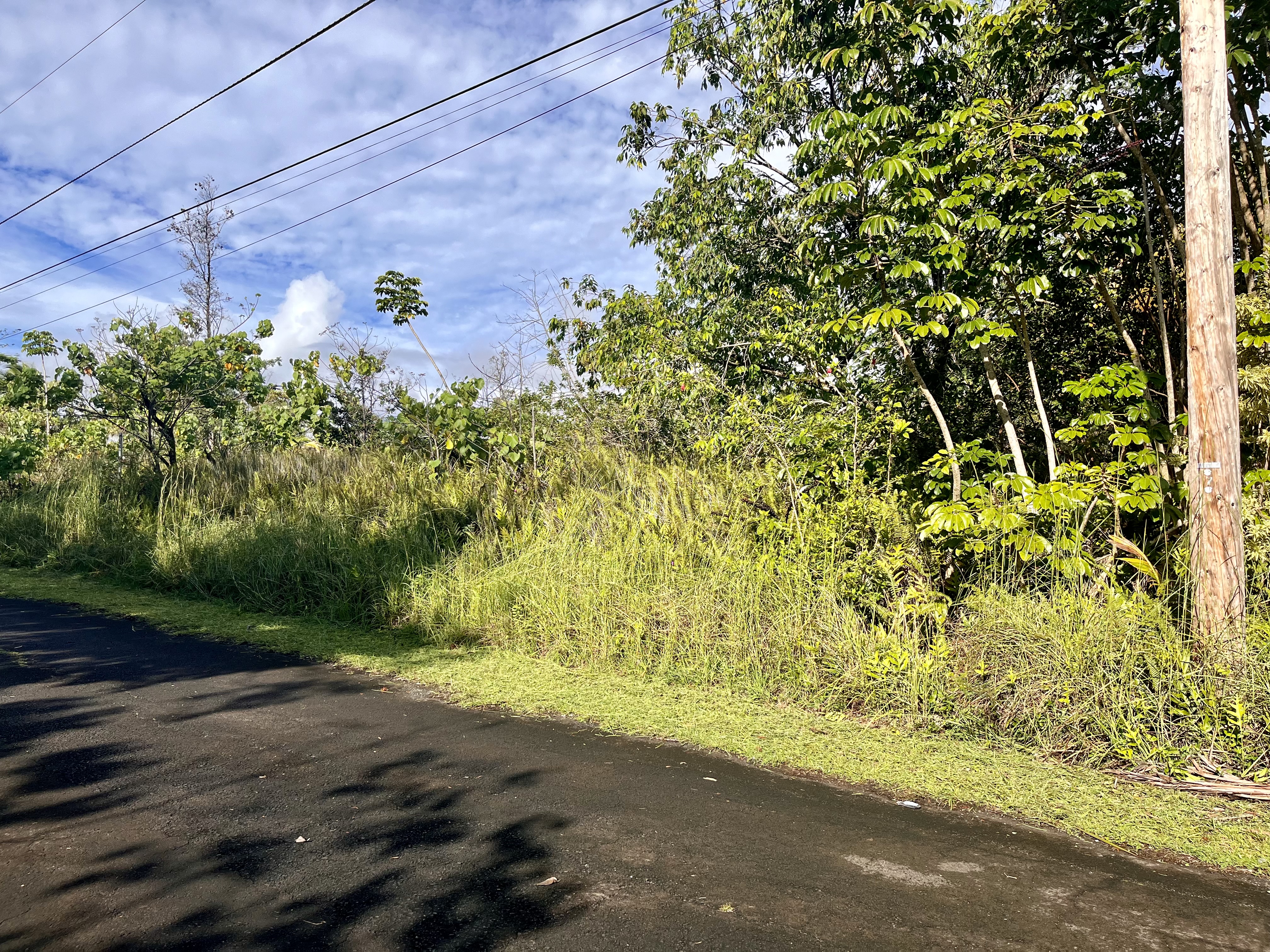 Puulena St Property Photo 3