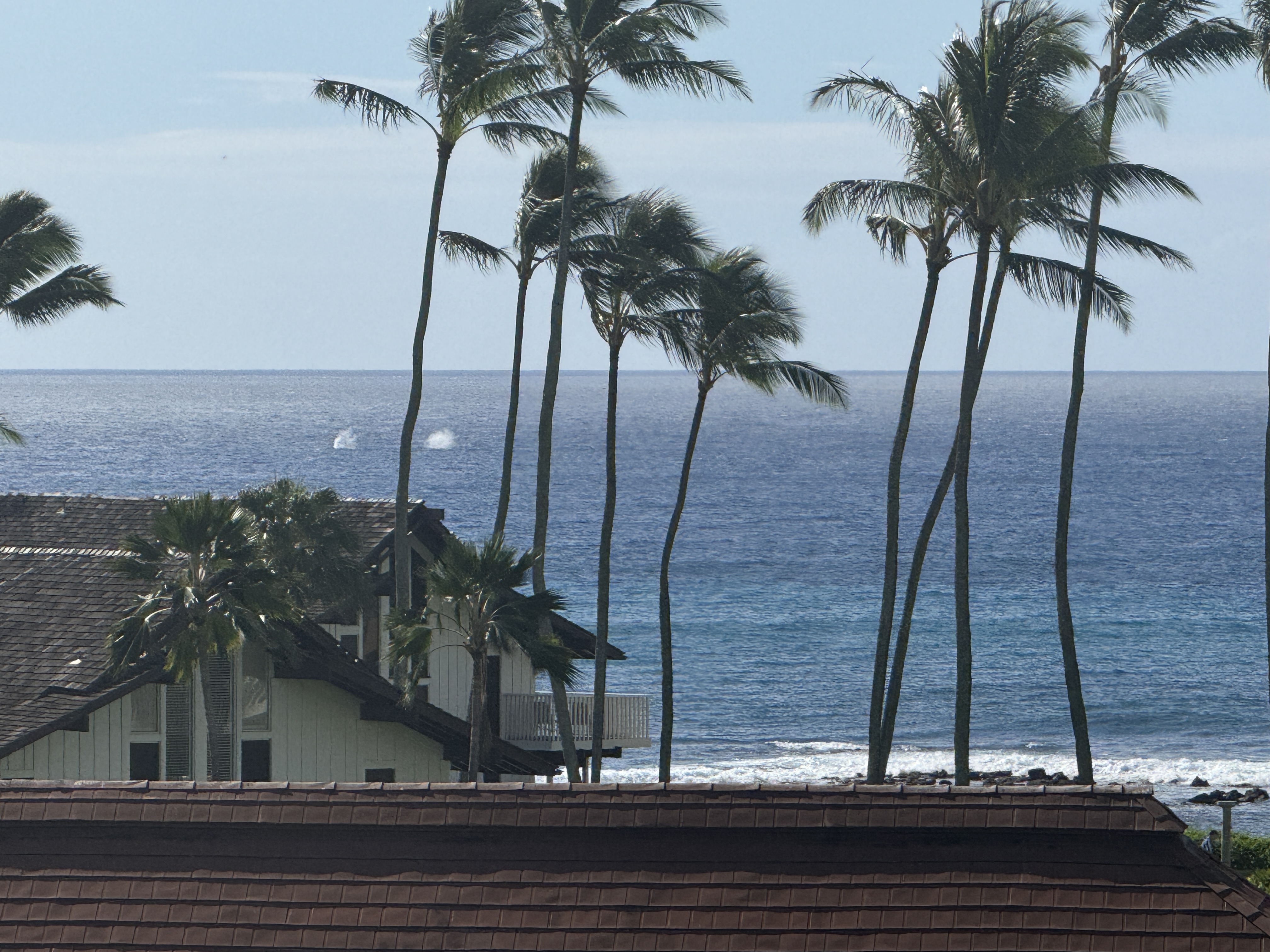 2253 Poipu Rd 125 Property Photo 17