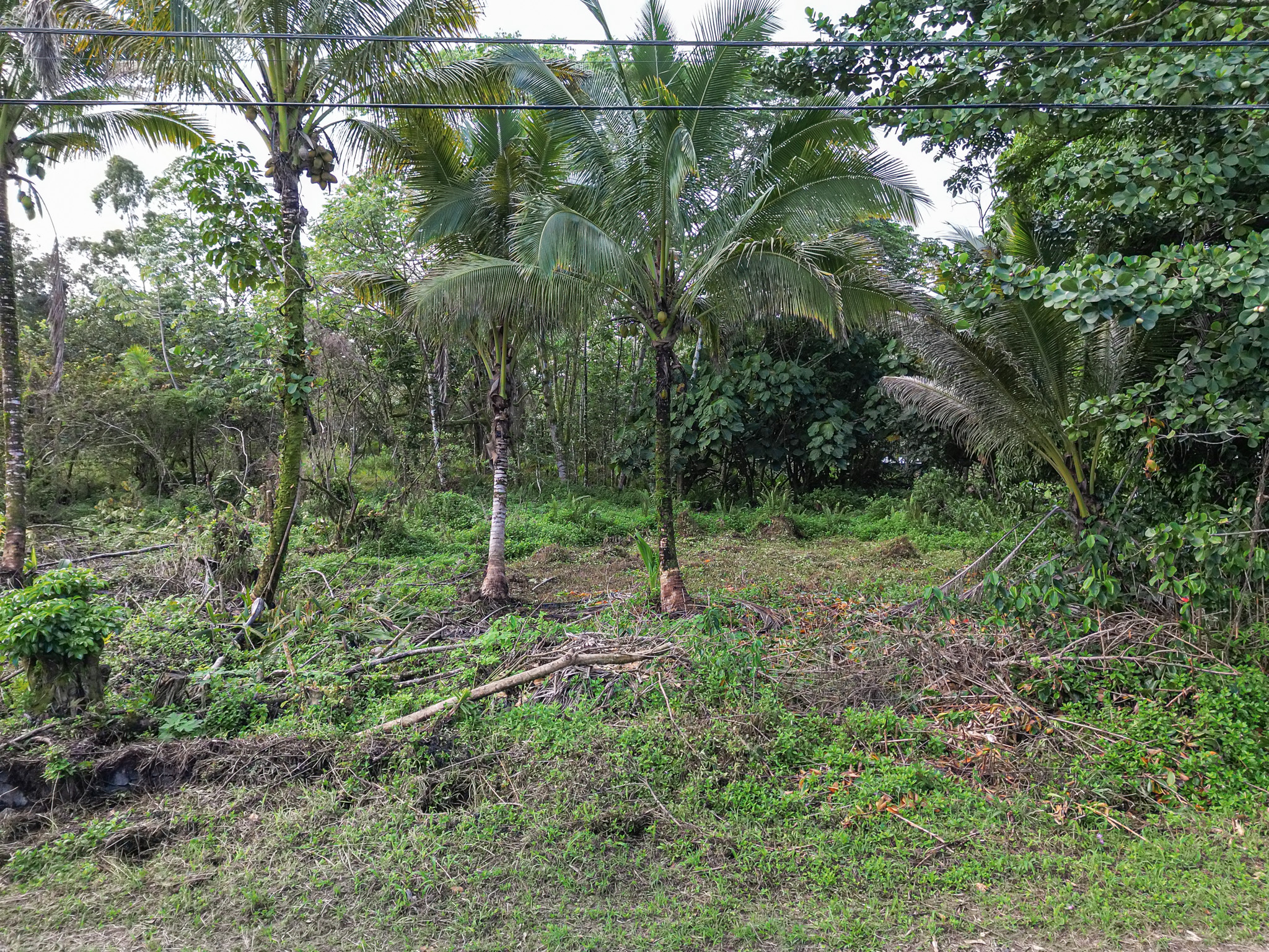 10th Ave Property Photo 1