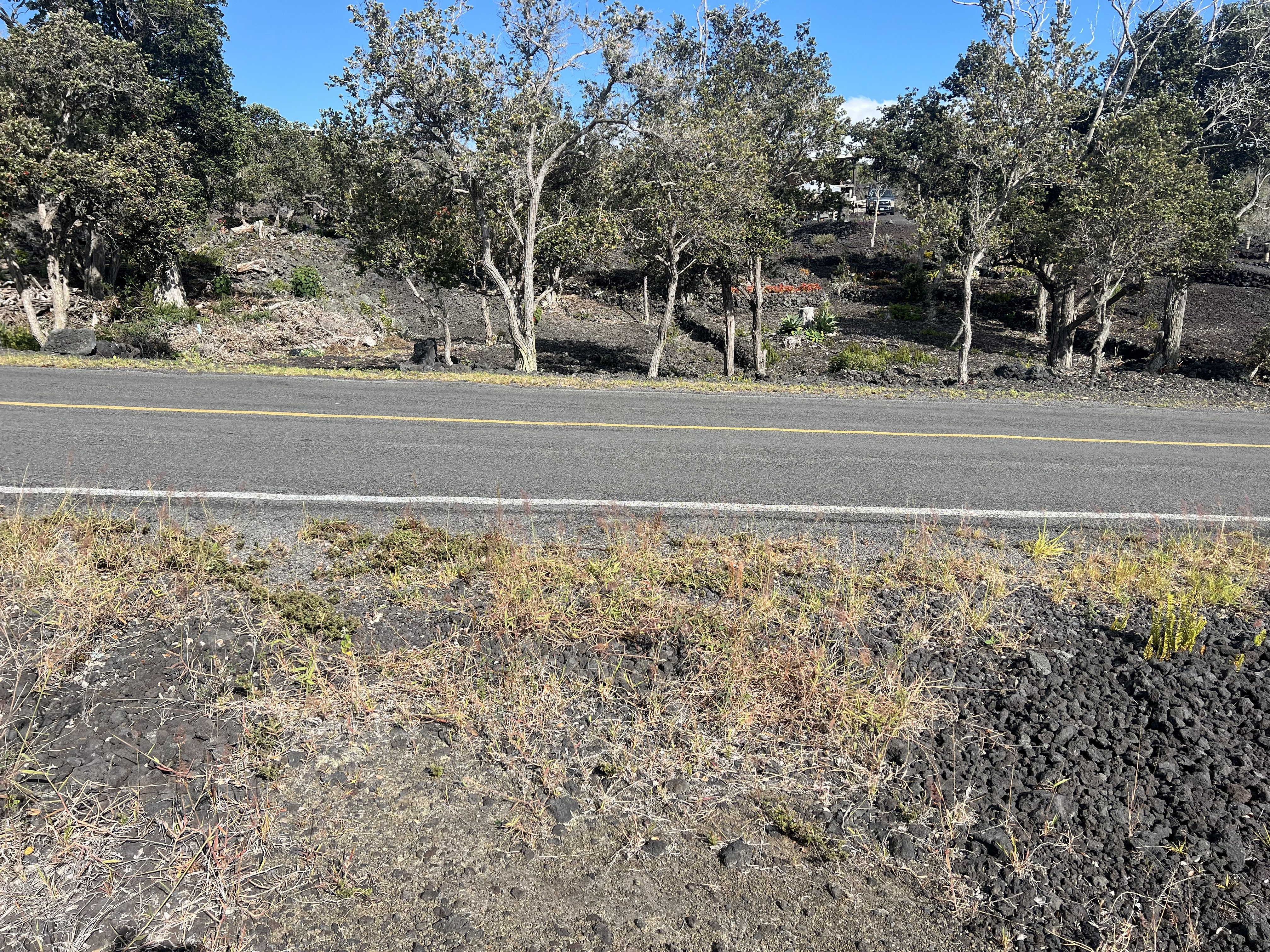 Lehua Ln Property Photo 4