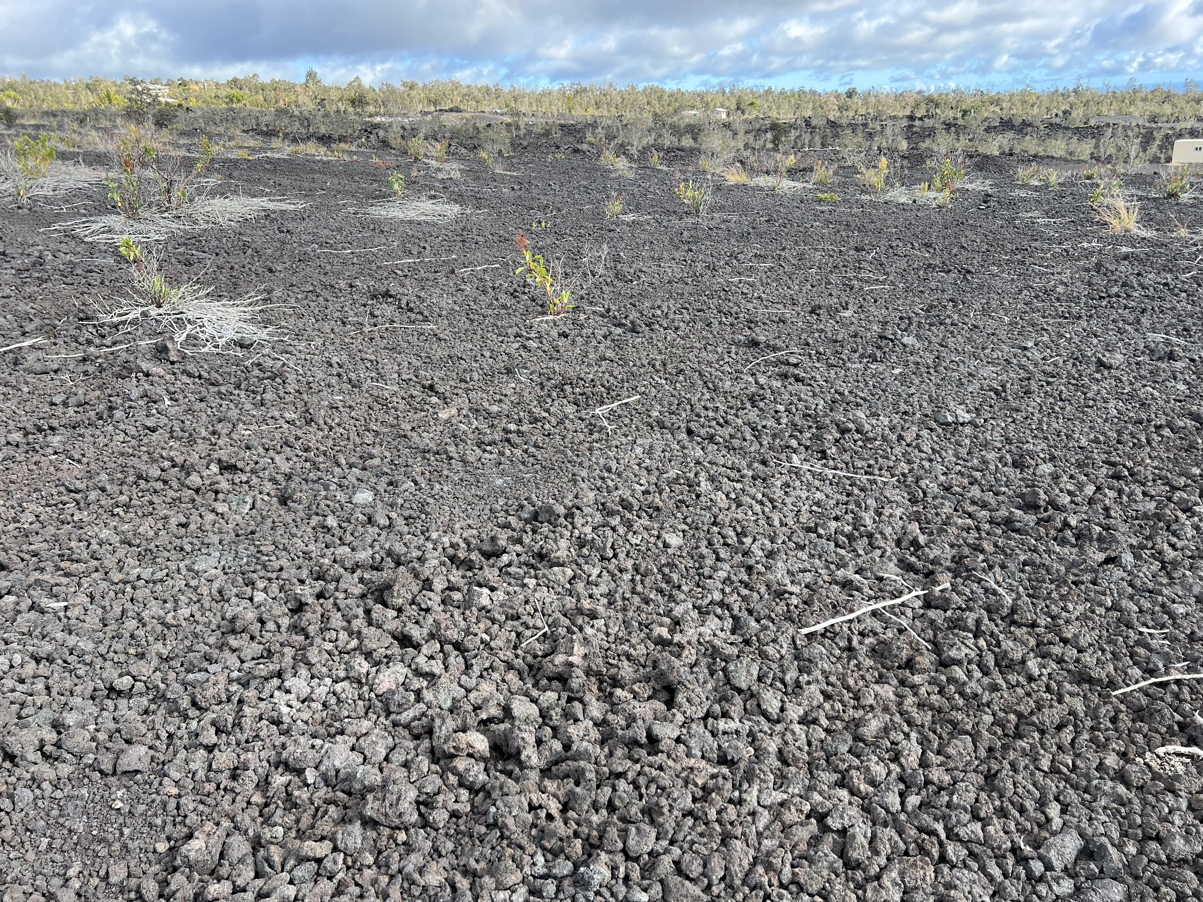 Lehua Ln Property Photo 8