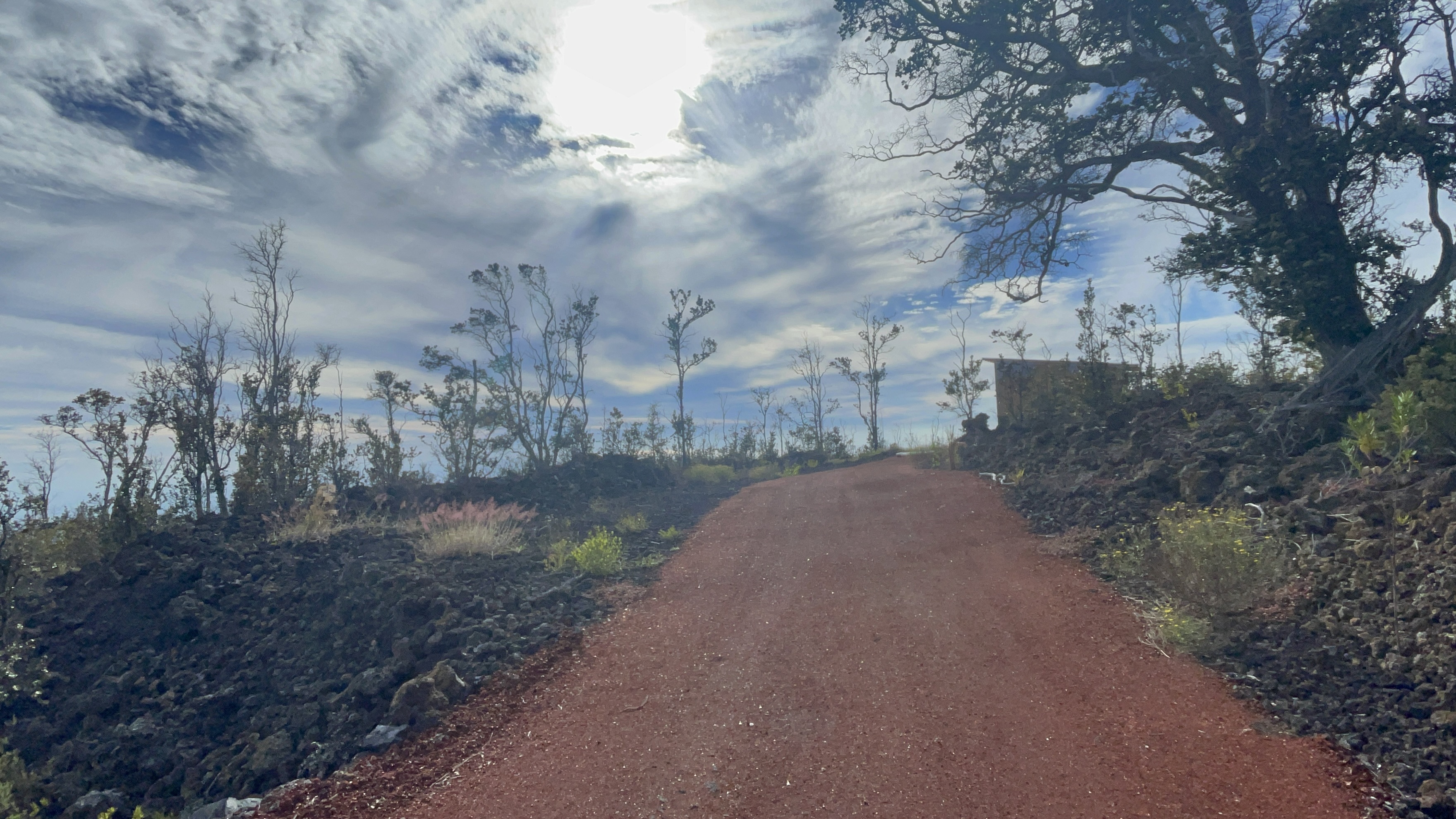 Plumeria Ln Property Photo 16