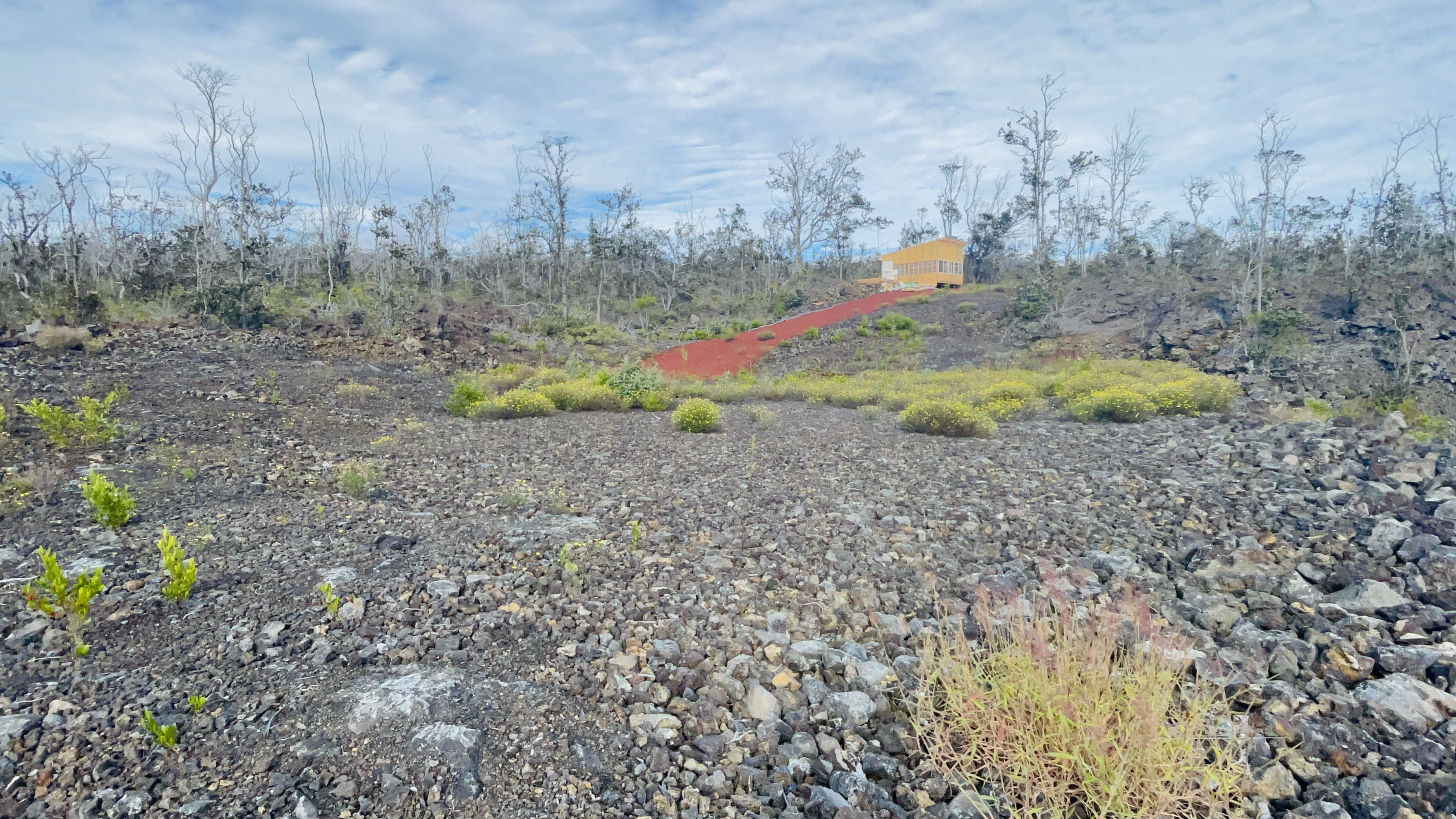 Plumeria Ln Property Photo 23