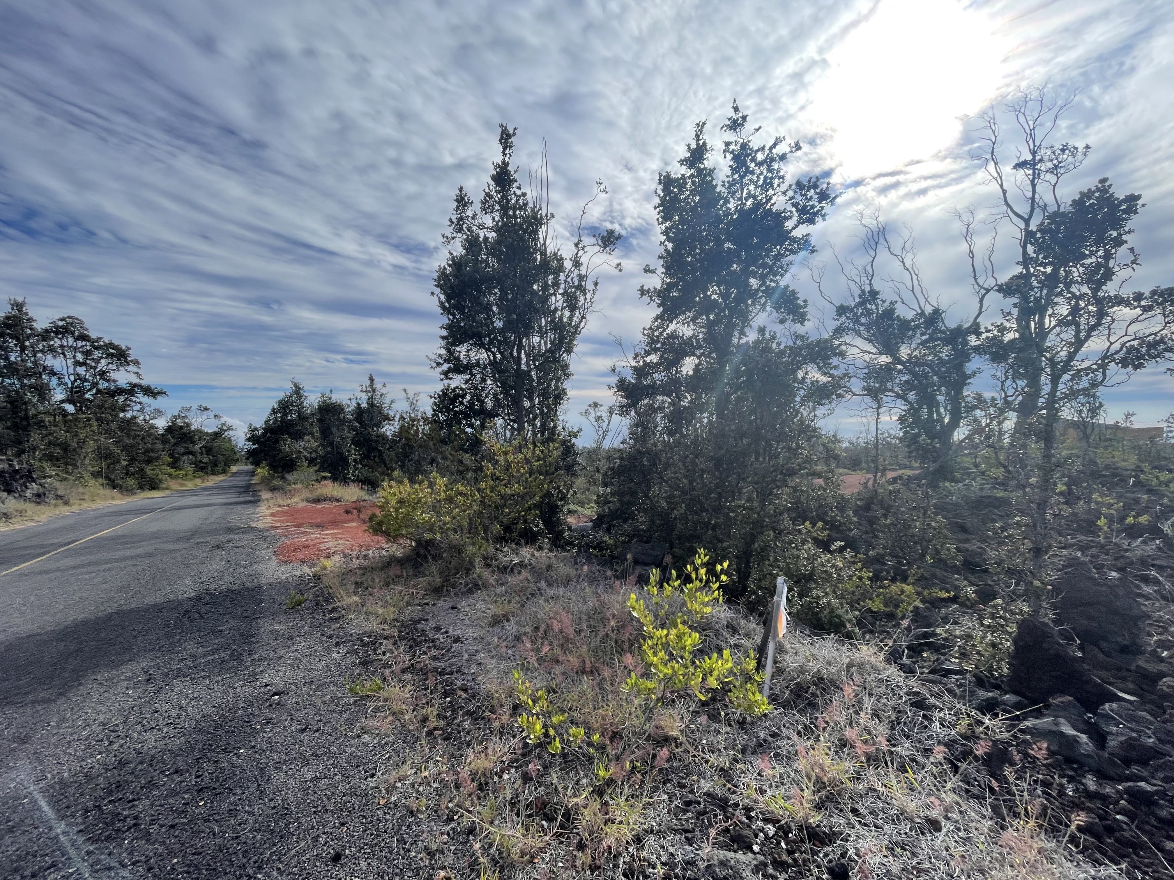 Plumeria Ln Property Photo 27