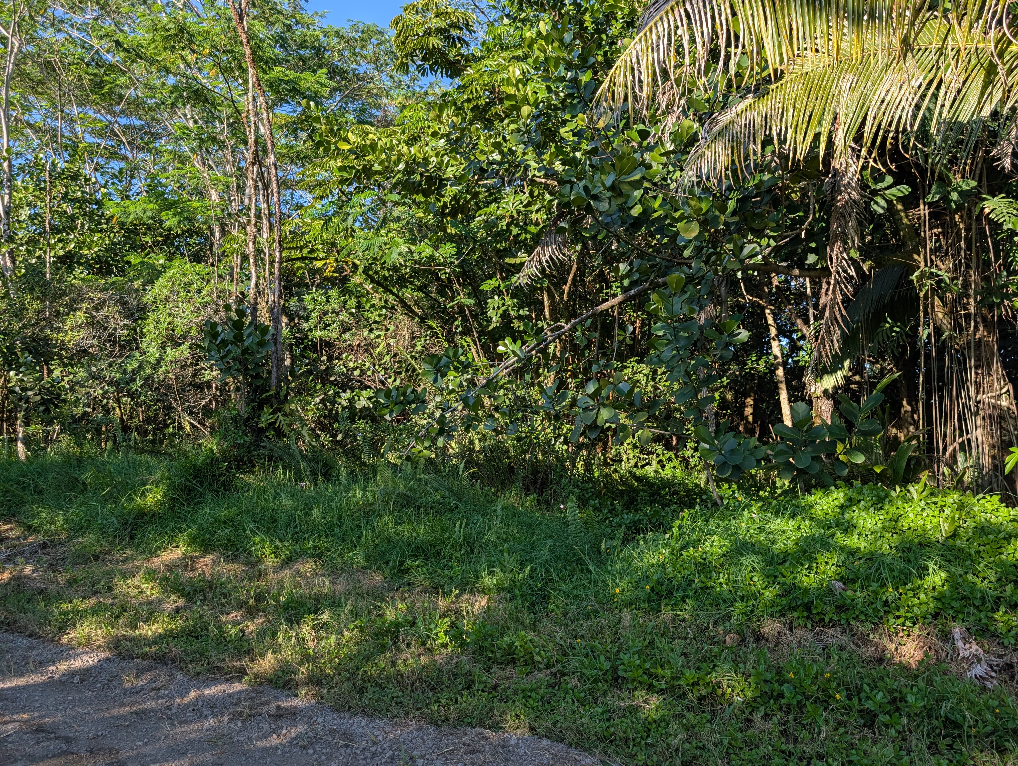 8th Ave Property Photo 10