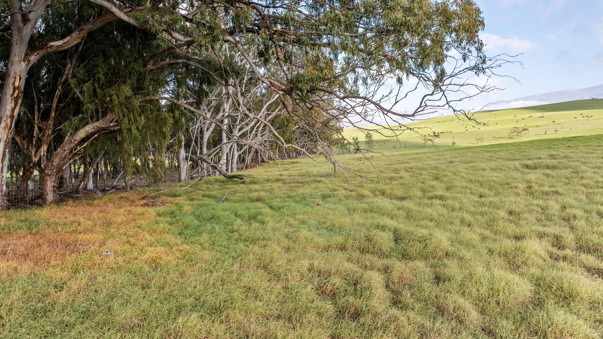 23 Alulike Road Property Photo 11