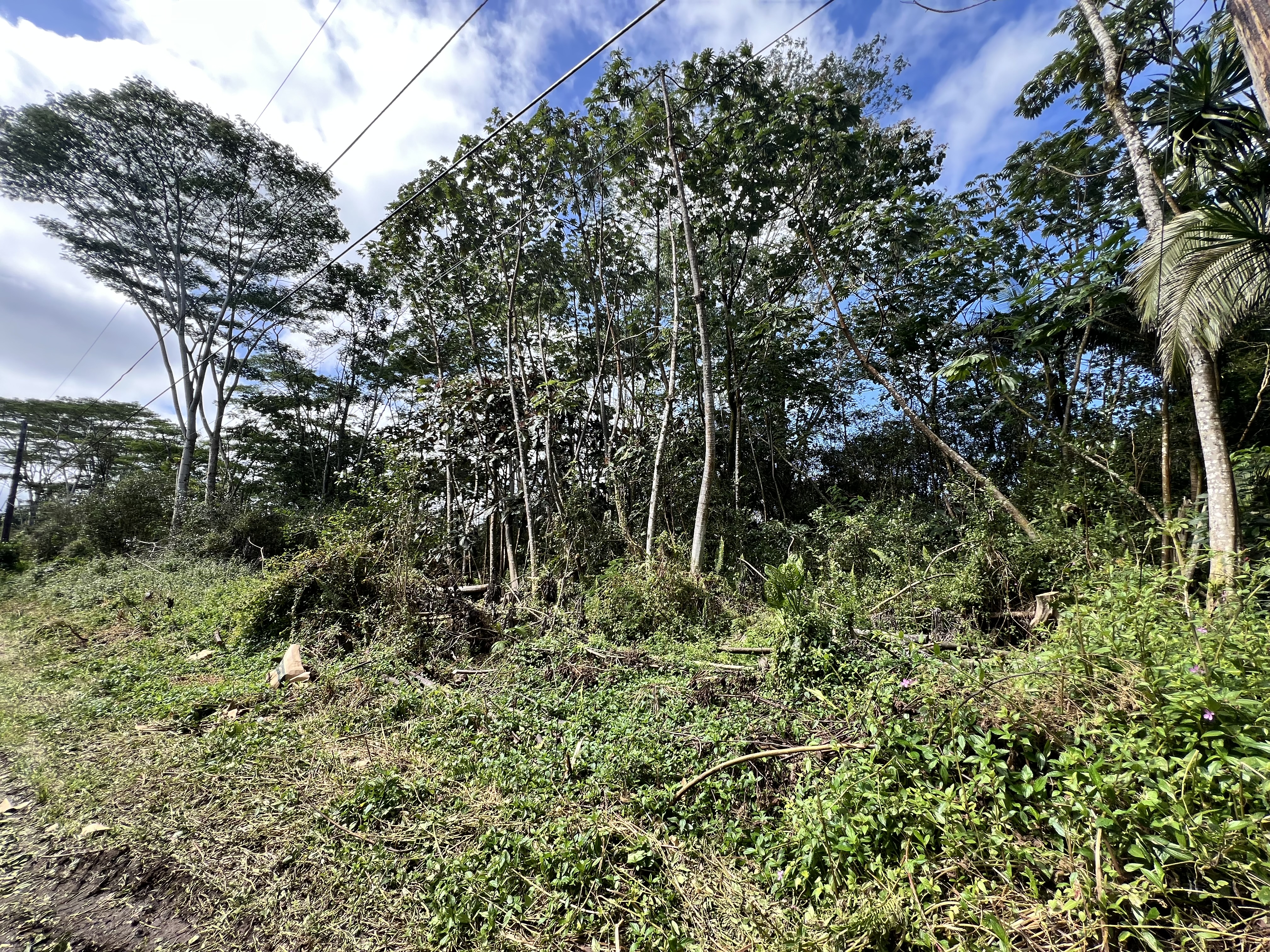 Mauna Kea Rd Property Photo 1