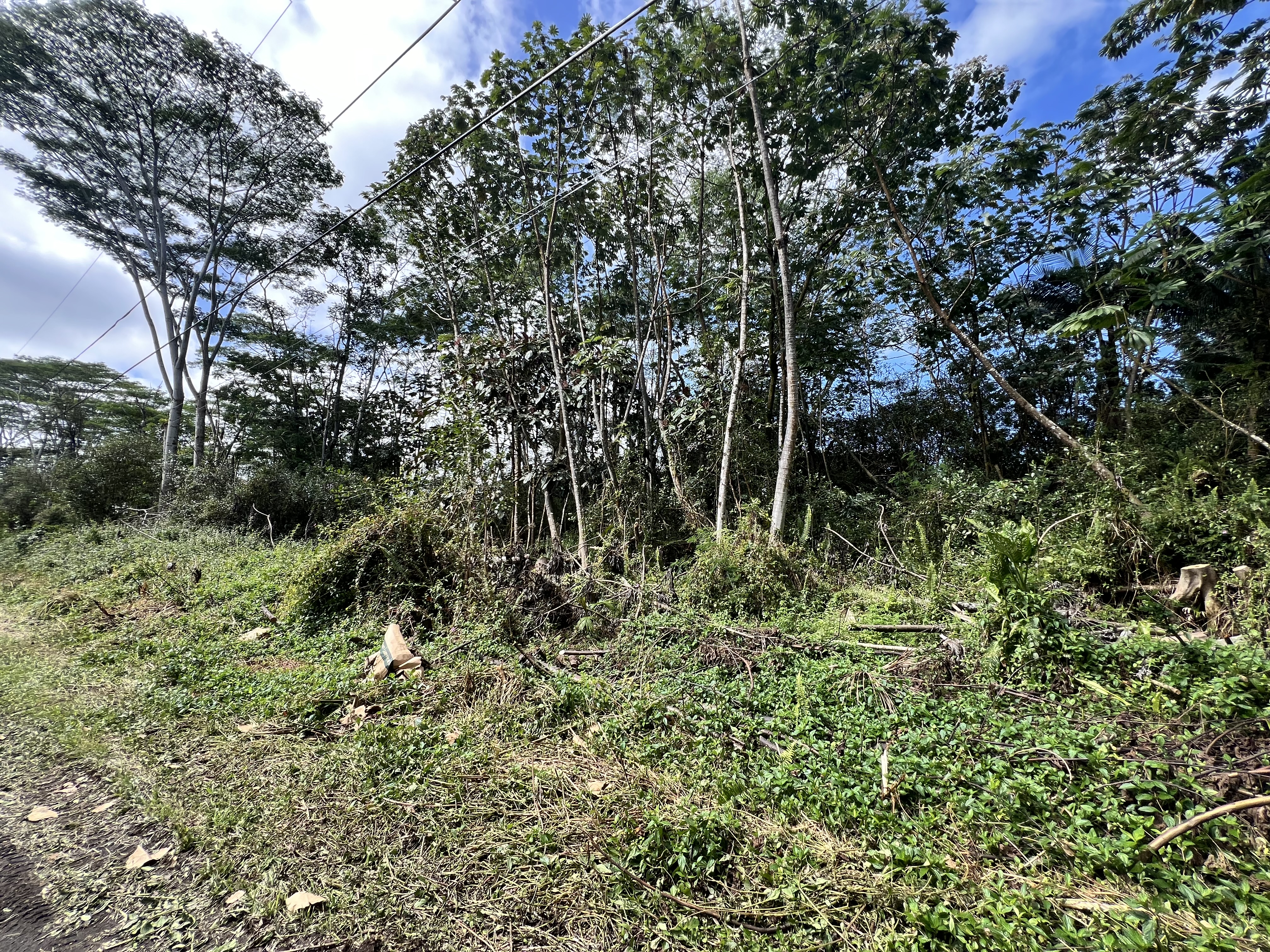 Mauna Kea Rd Property Photo 2