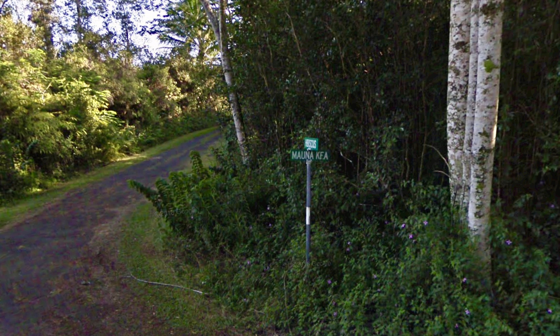 Mauna Kea Rd Property Photo 4