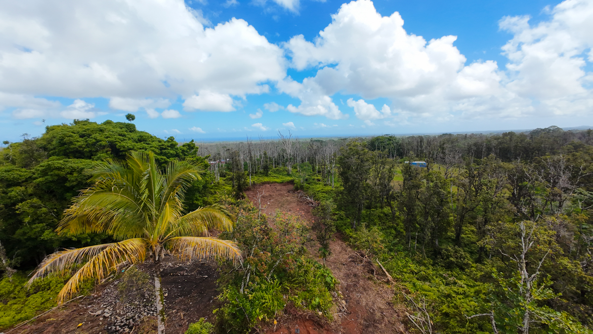 16-2041 Koloa Maoli Rd Property Photo 3