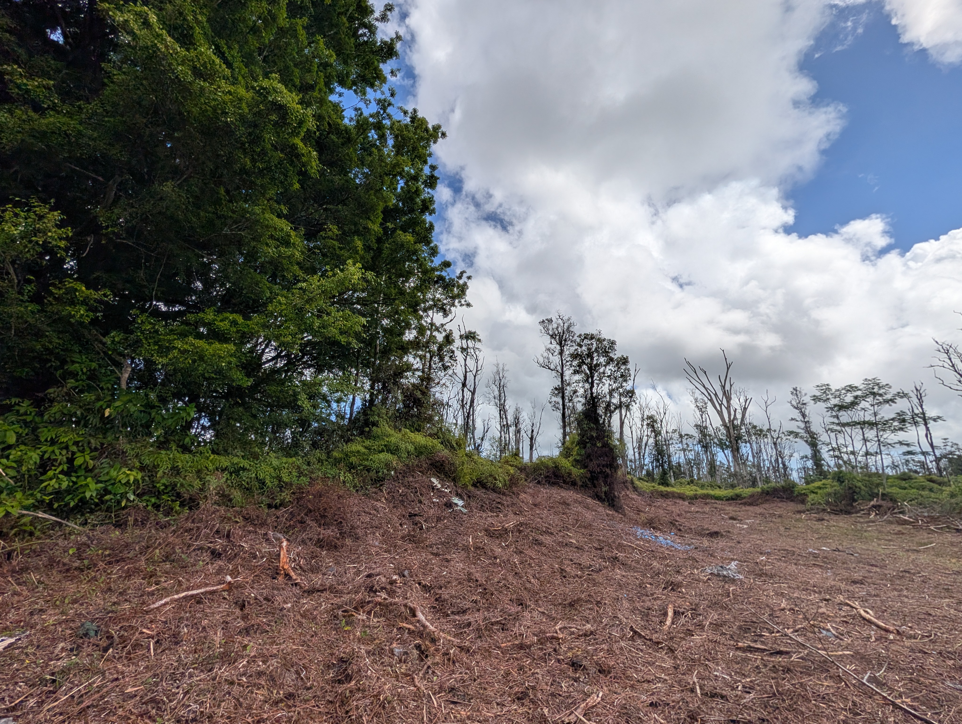 16-2041 Koloa Maoli Rd Property Photo 15