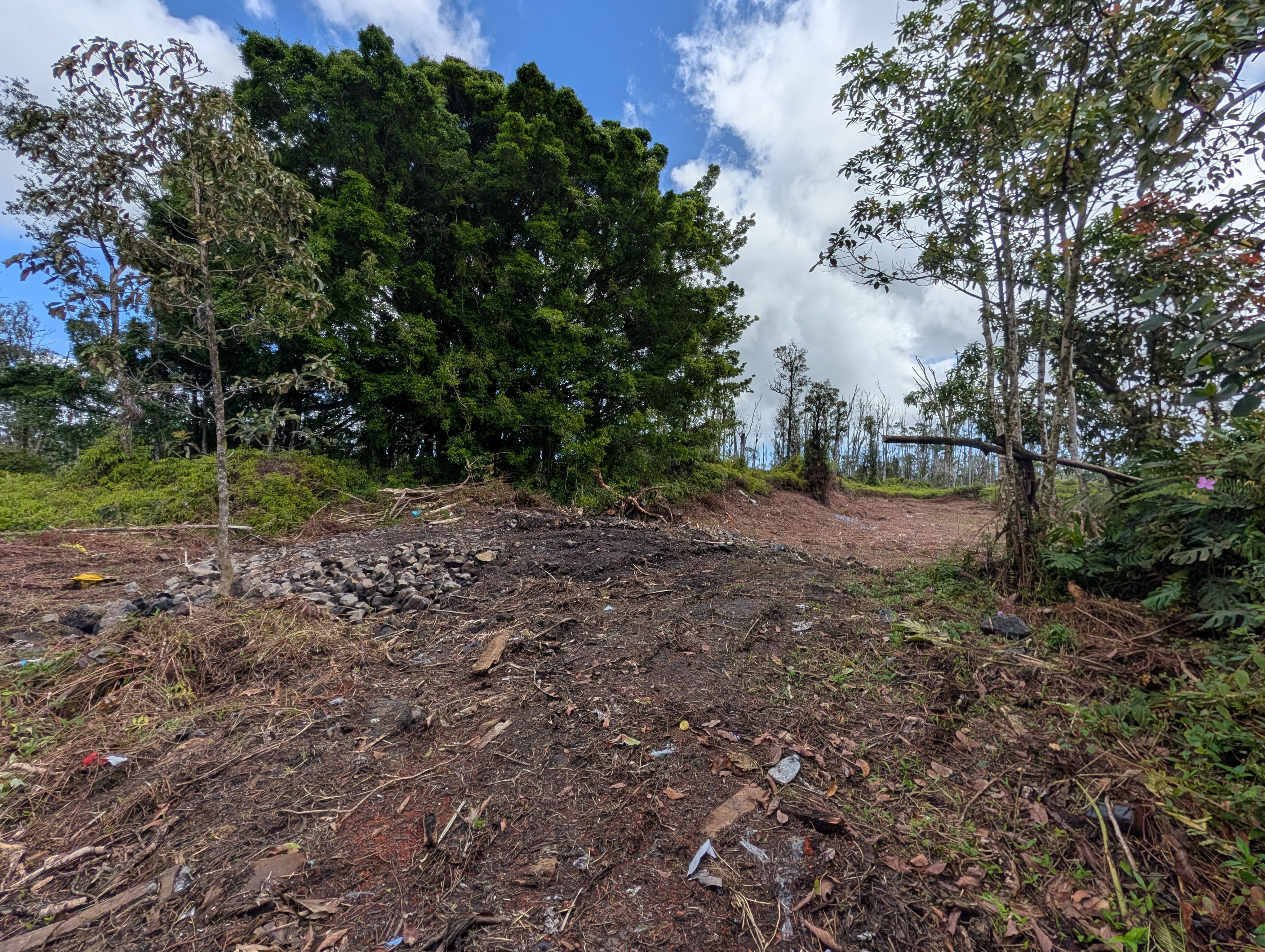 16-2041 Koloa Maoli Rd Property Photo 17