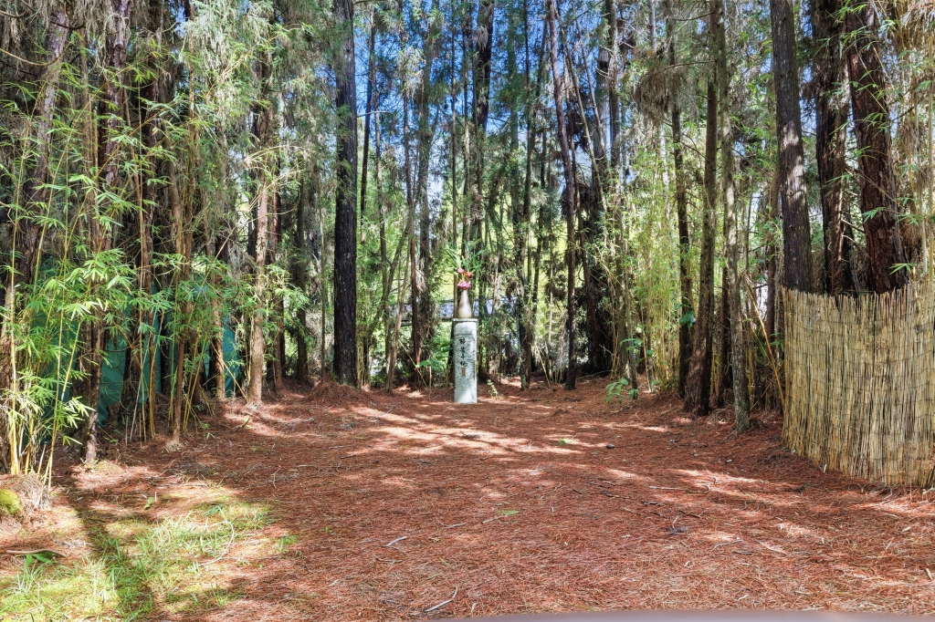 19-3834 Old Volcano Rd Property Photo 22