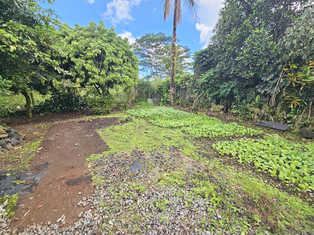 16-2075 Ainaloa Way Property Photo 25