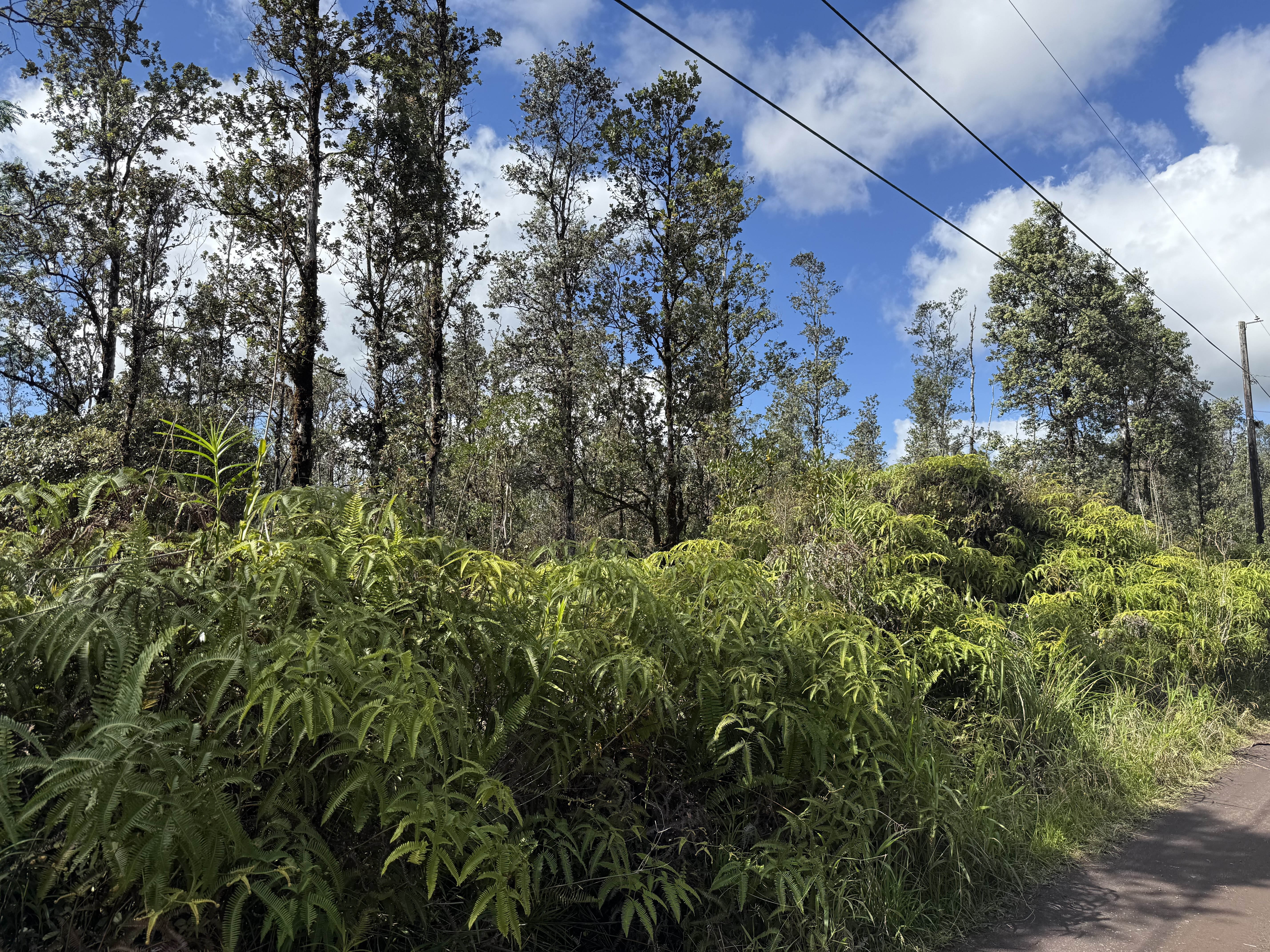 Road 2 (ao) Property Photo 1