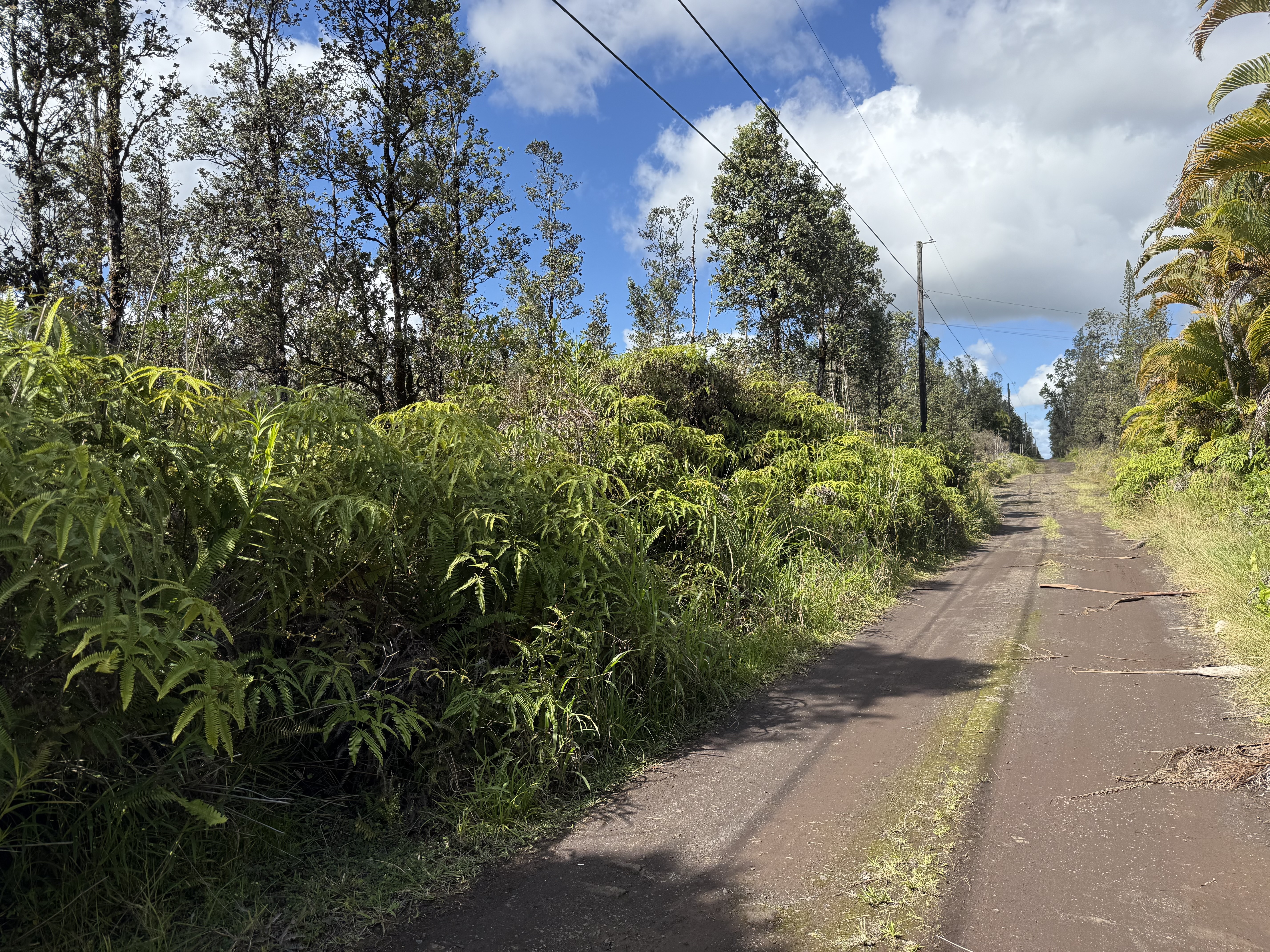 Road 2 (ao) Property Photo 2