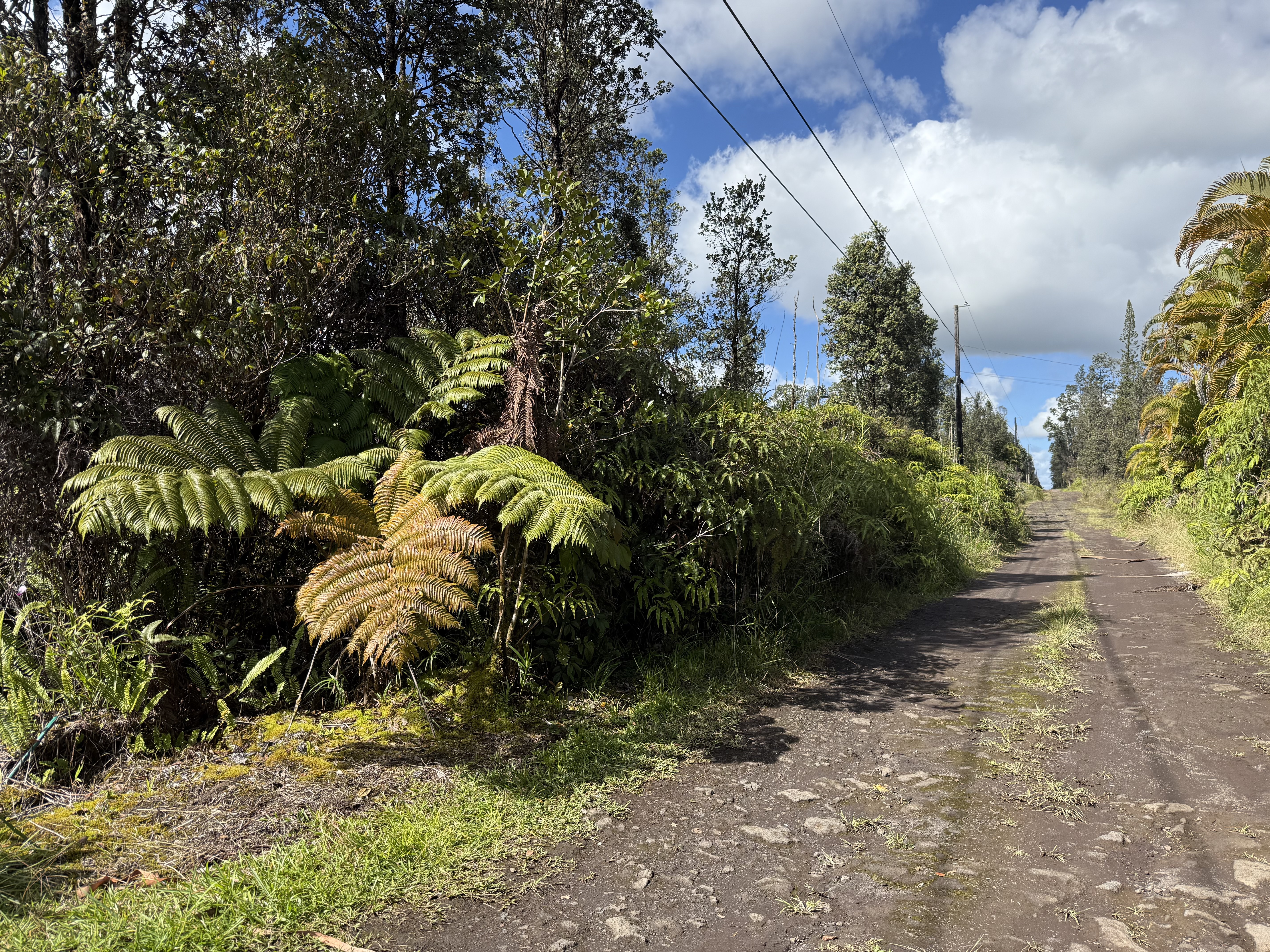 Road 2 (ao) Property Photo 3