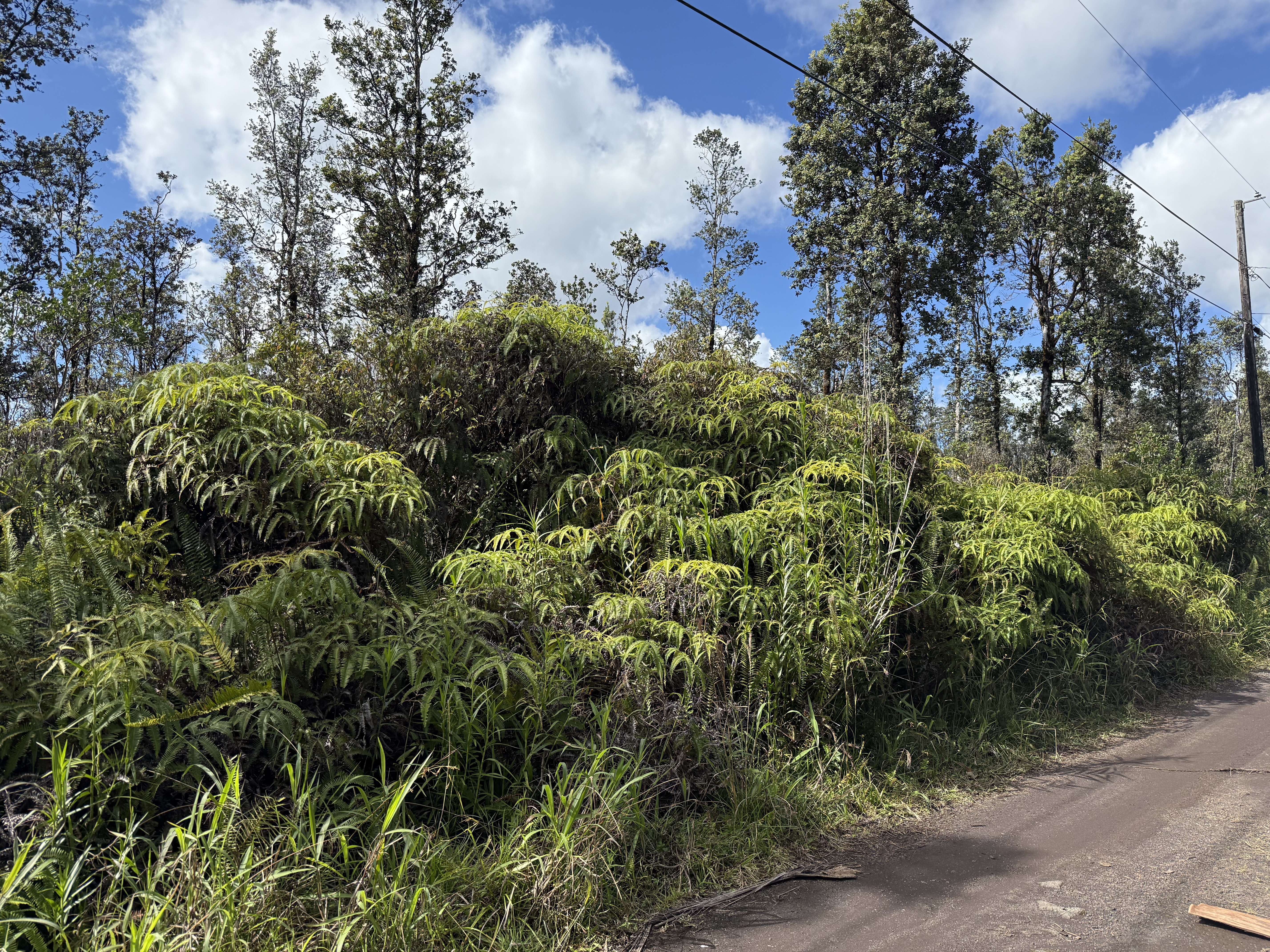 Road 2 (ao) Property Photo 4