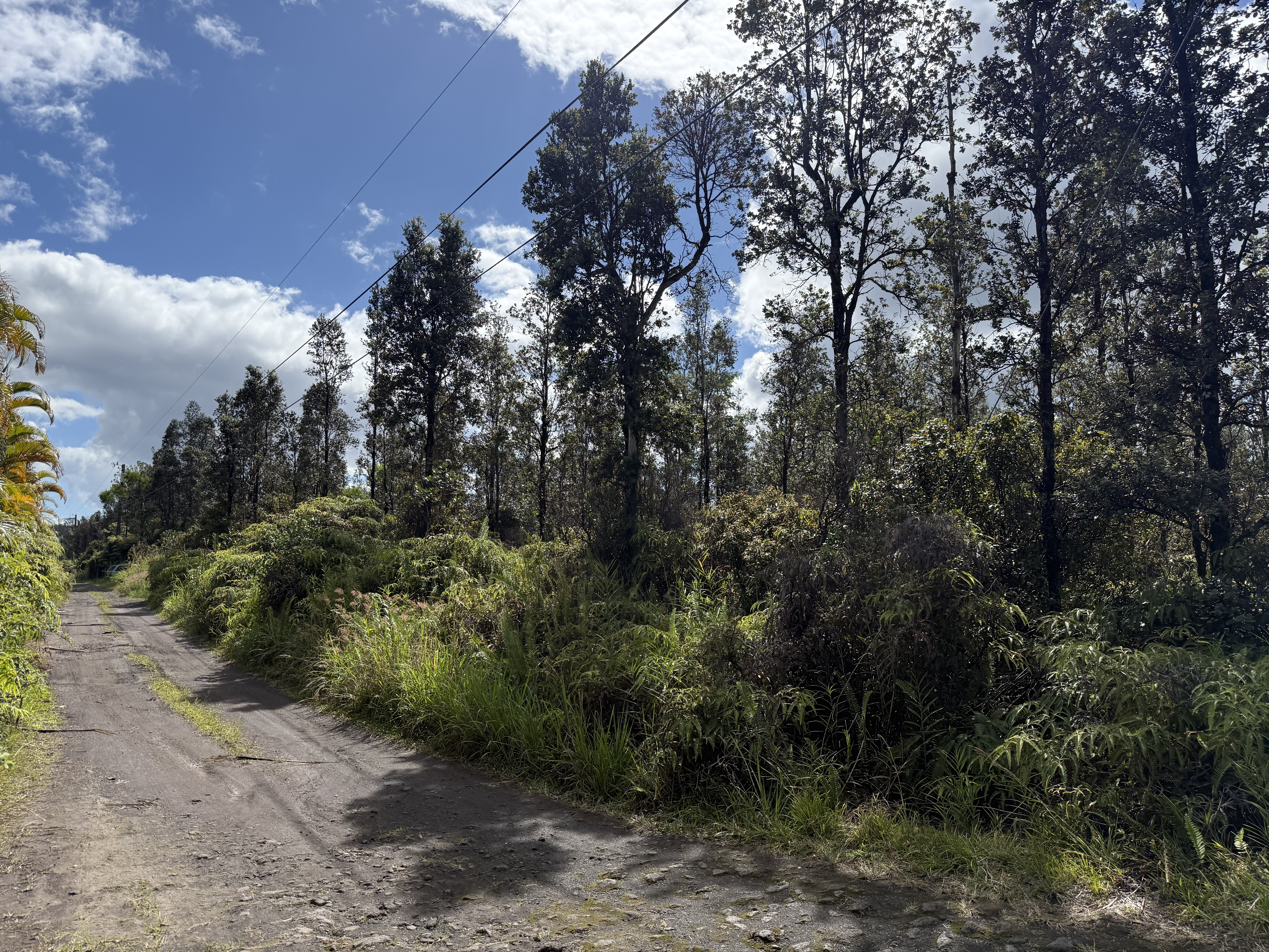 Road 2 (ao) Property Photo 5