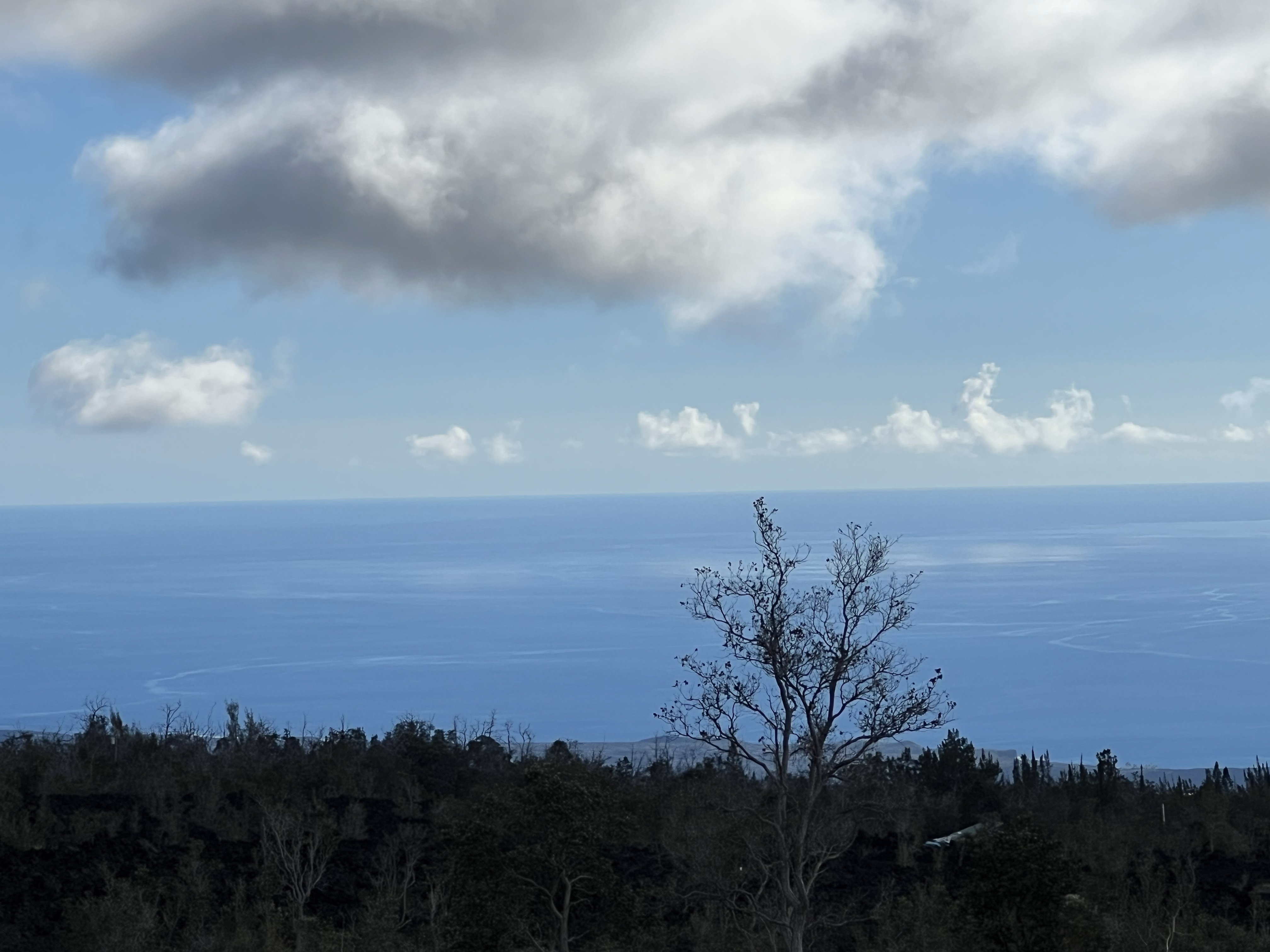 Lehua Ln Property Photo 1