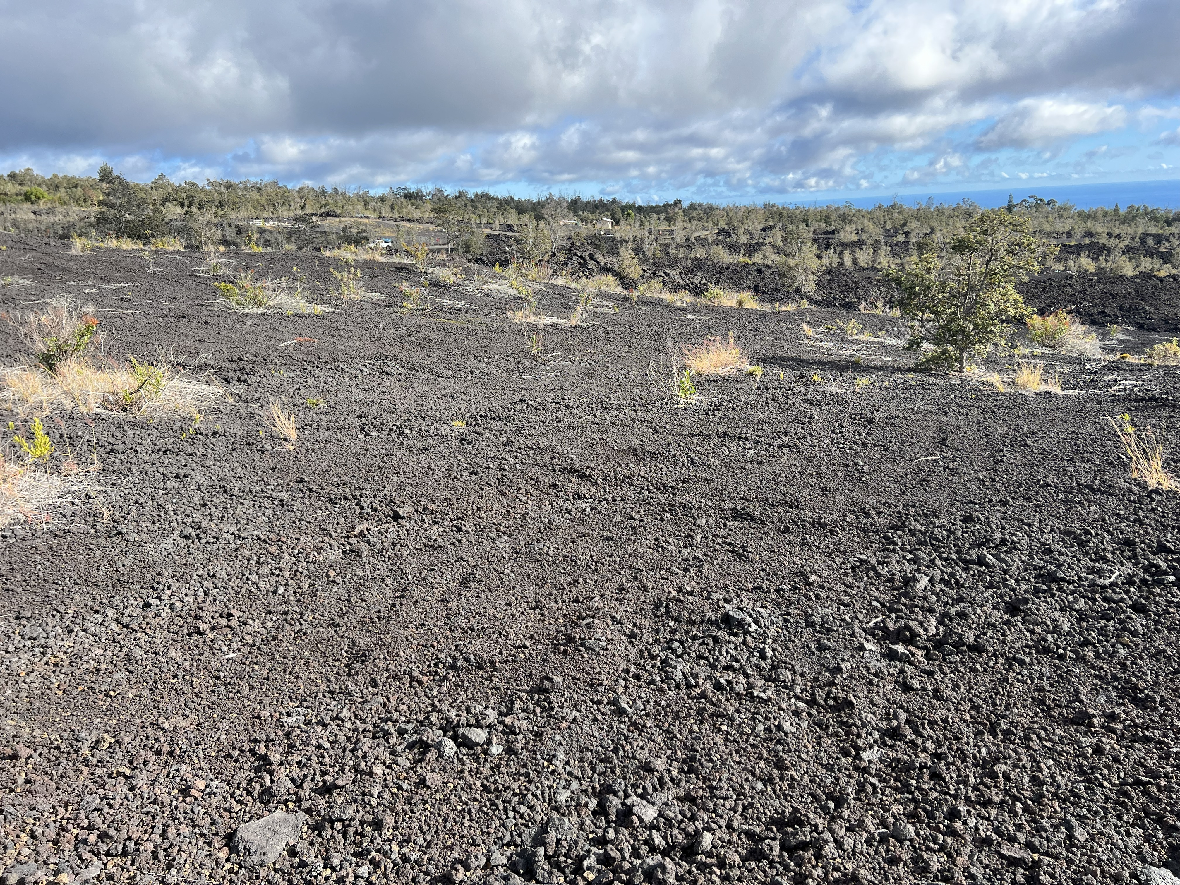 Lehua Ln Property Photo 2