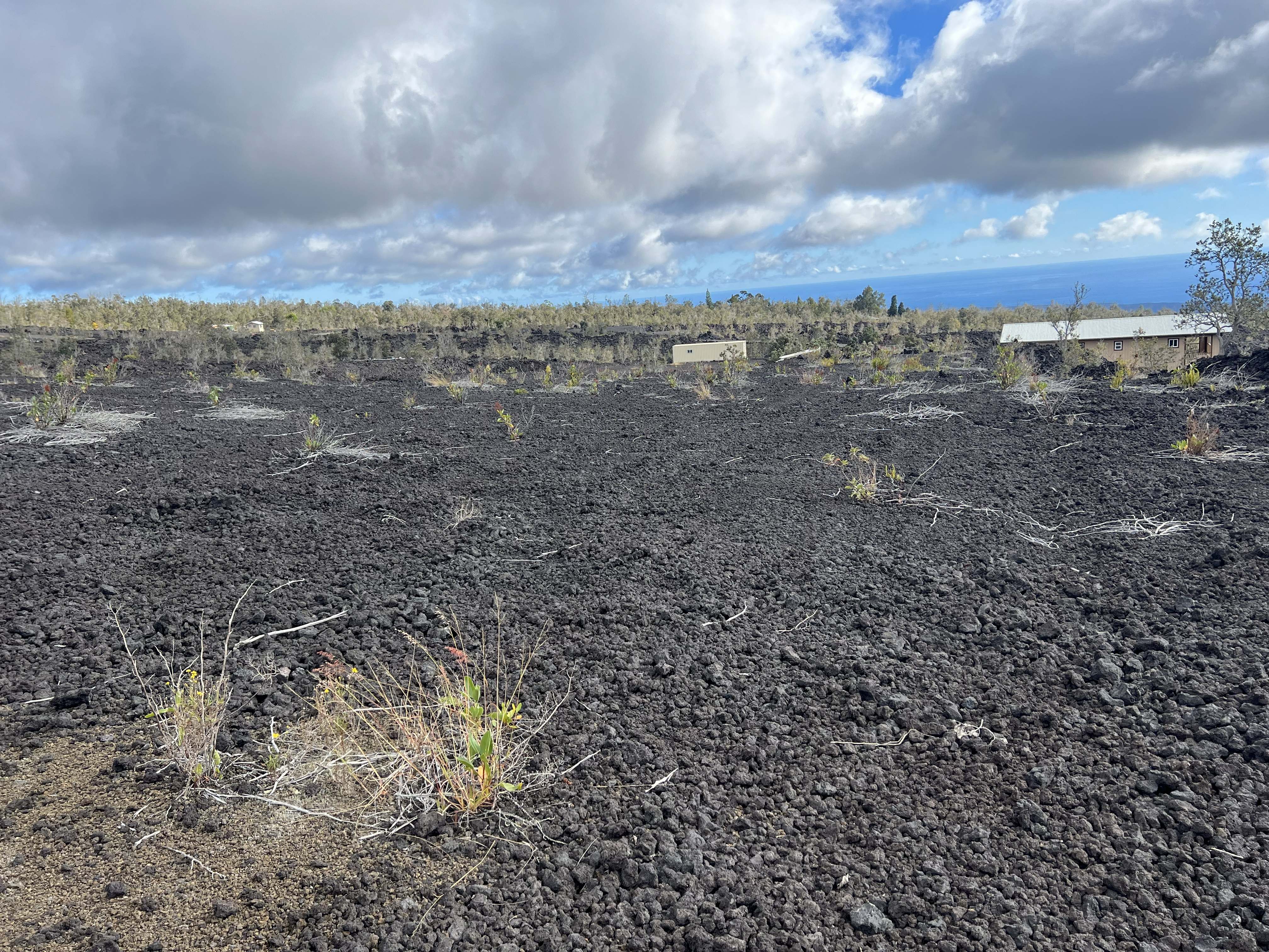 Lehua Ln Property Photo 5