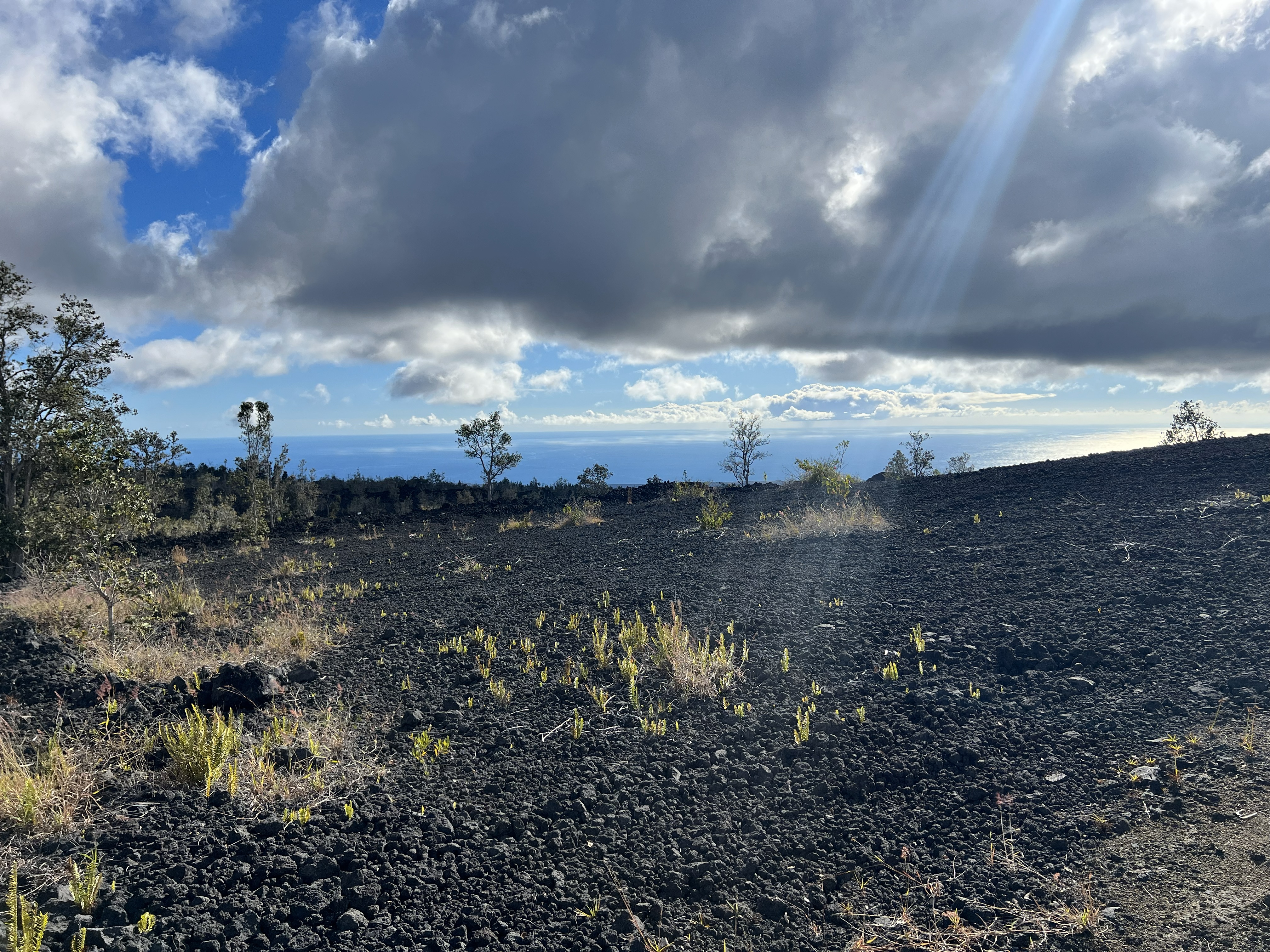 Lehua Ln Property Photo 1