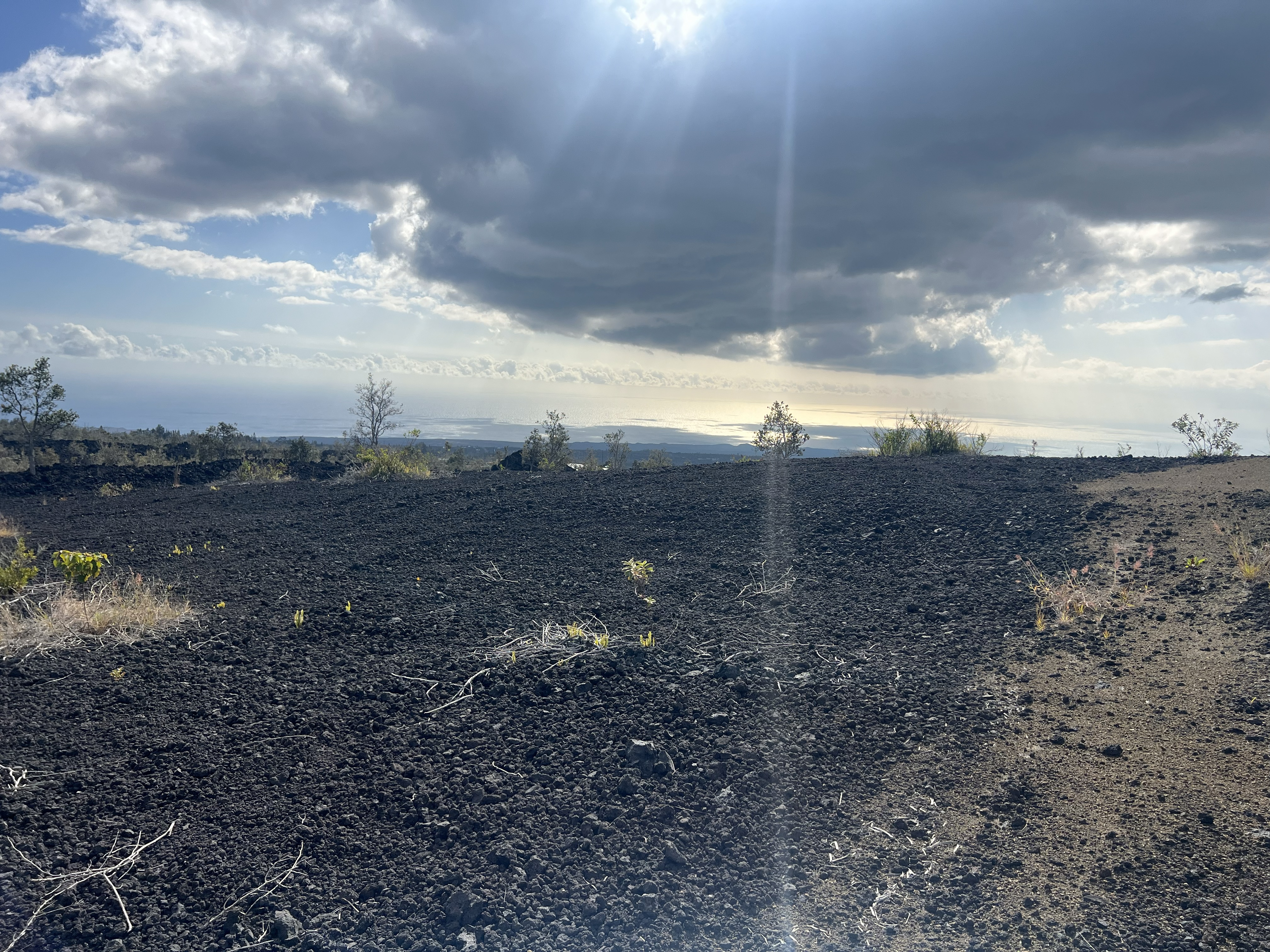 Lehua Ln Property Photo 4
