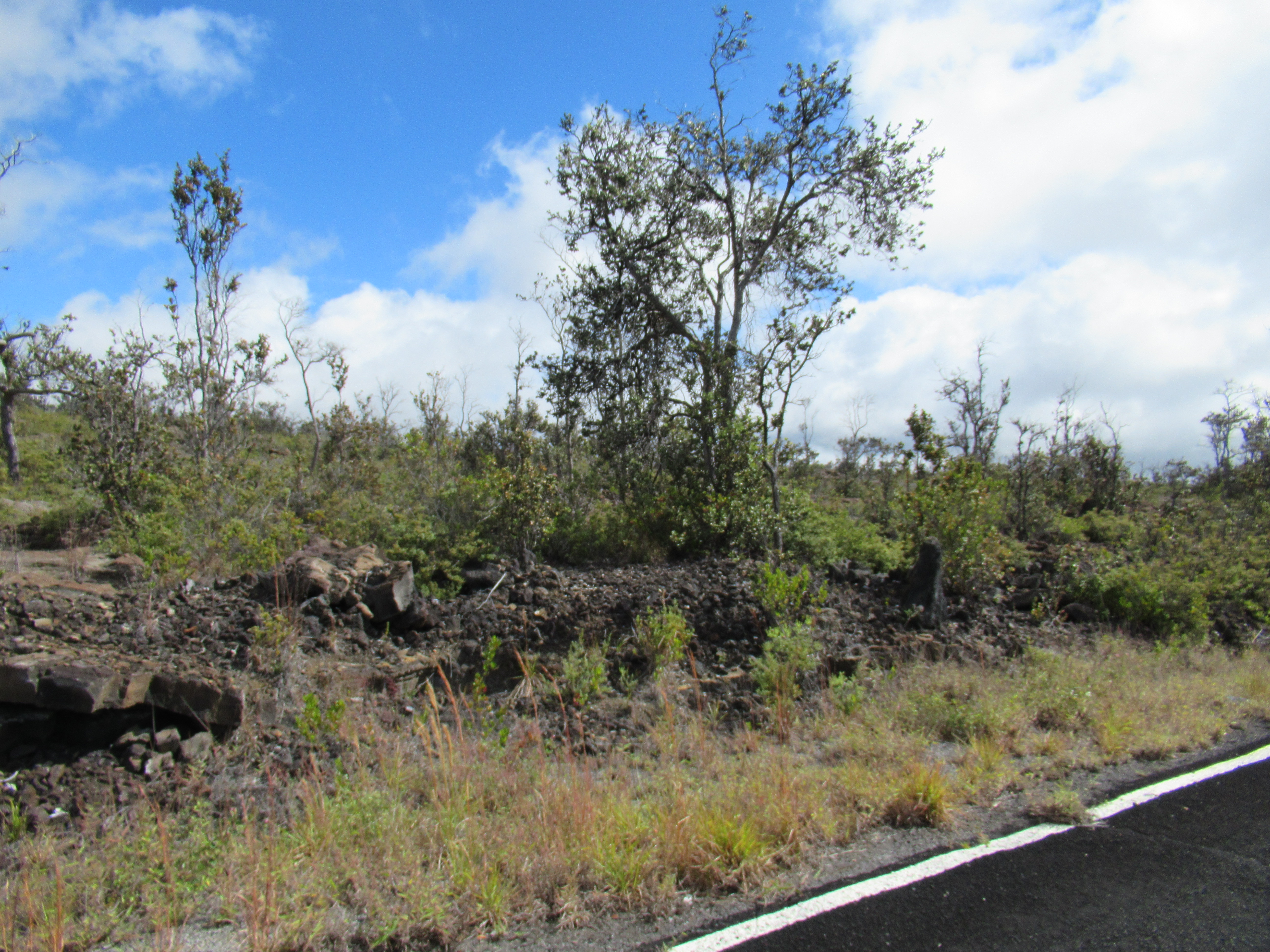 Iwalani Pkwy Property Photo 1