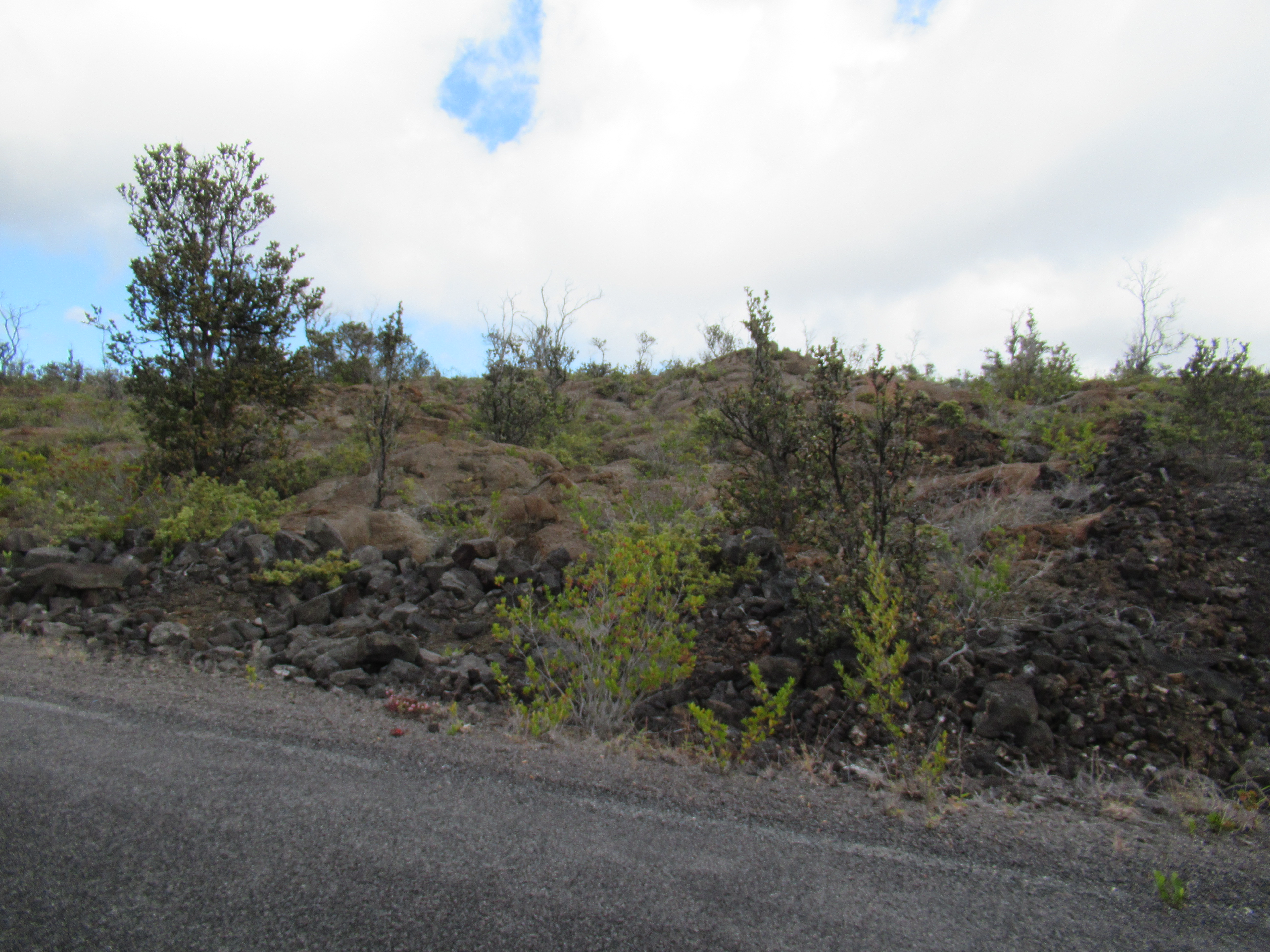 Iwalani Pkwy Property Photo 2
