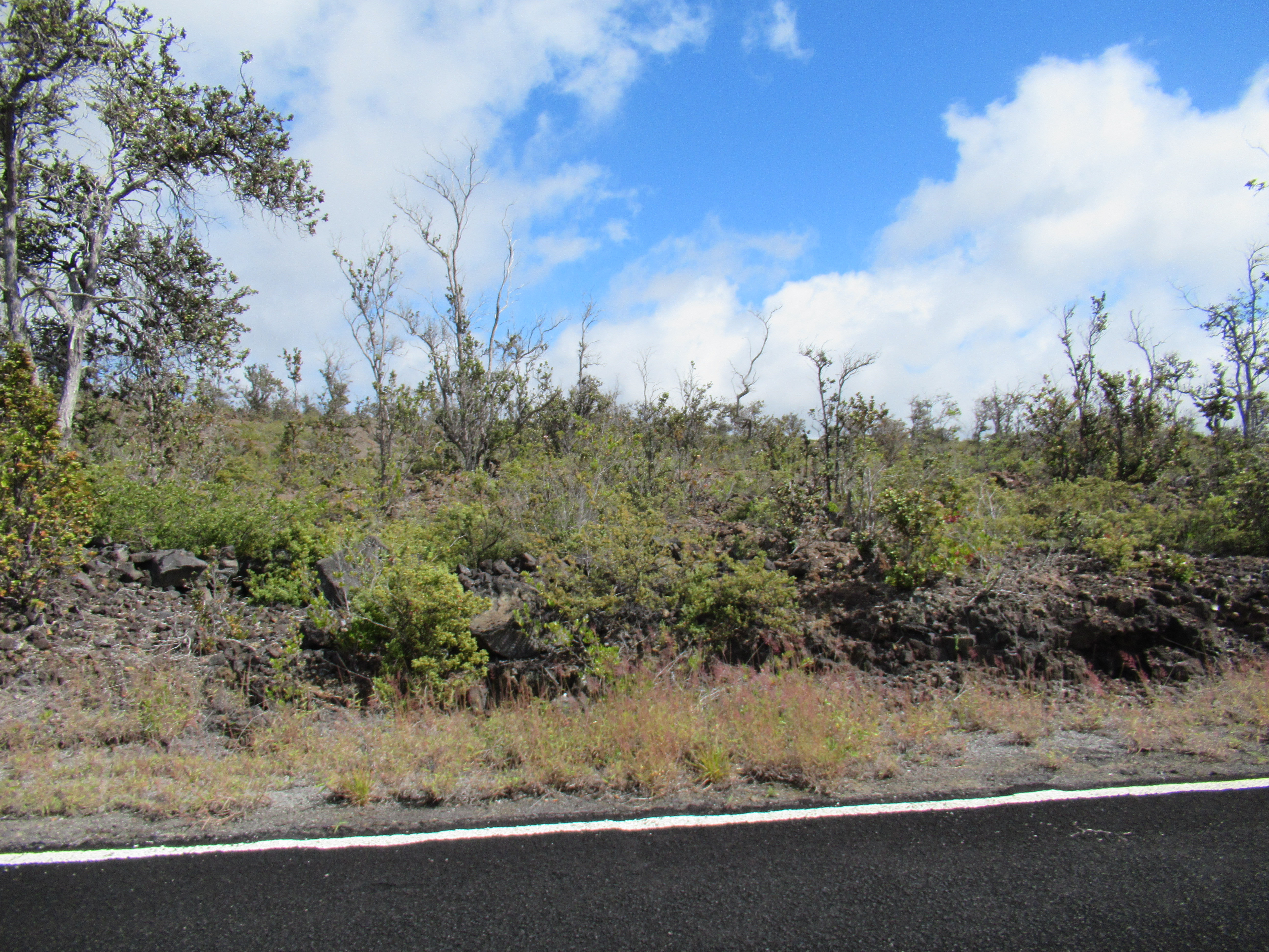 Pineapple Pkwy Property Photo 3