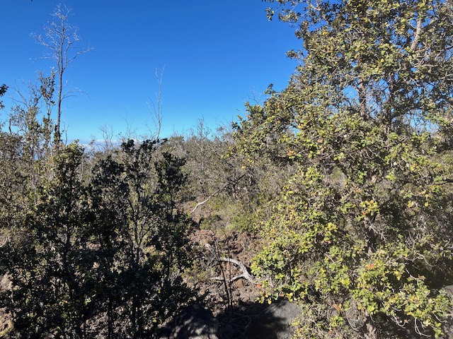 Koa Ln Property Photo 1