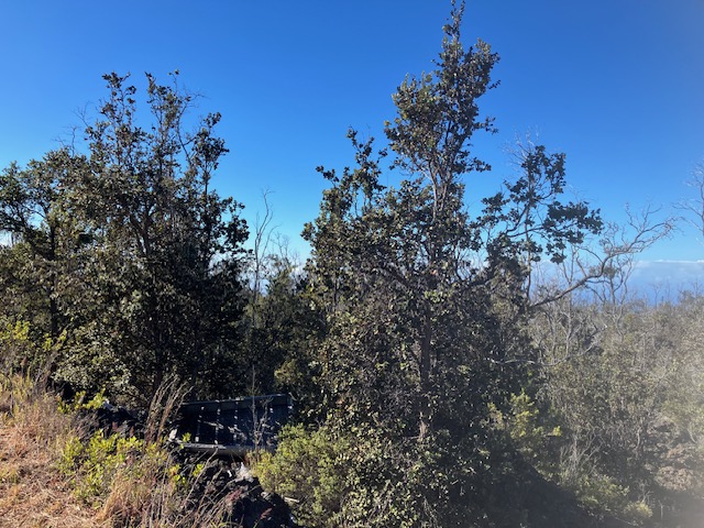 Koa Ln Property Photo 4