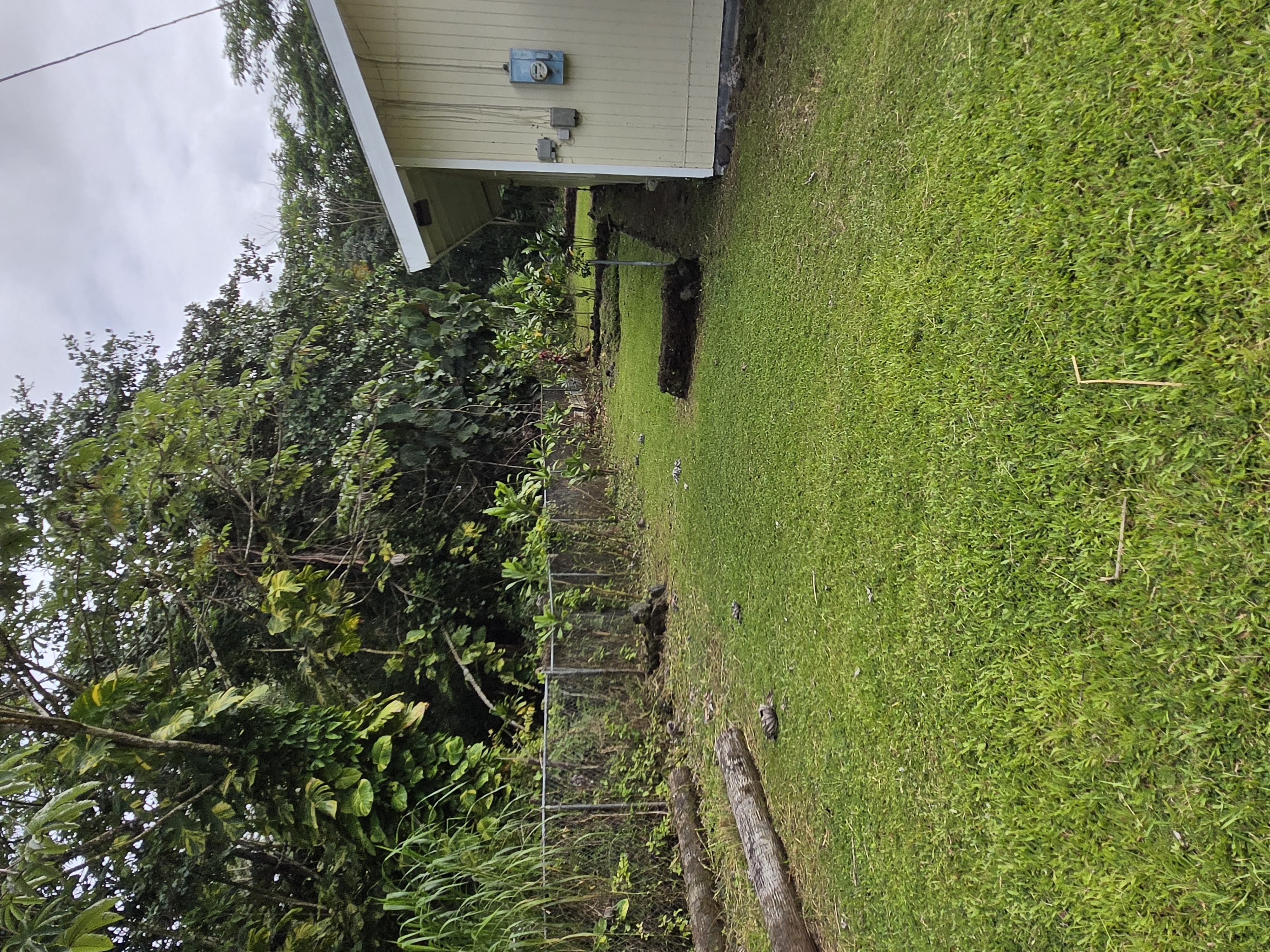 15-2724 Ono St Property Photo 16