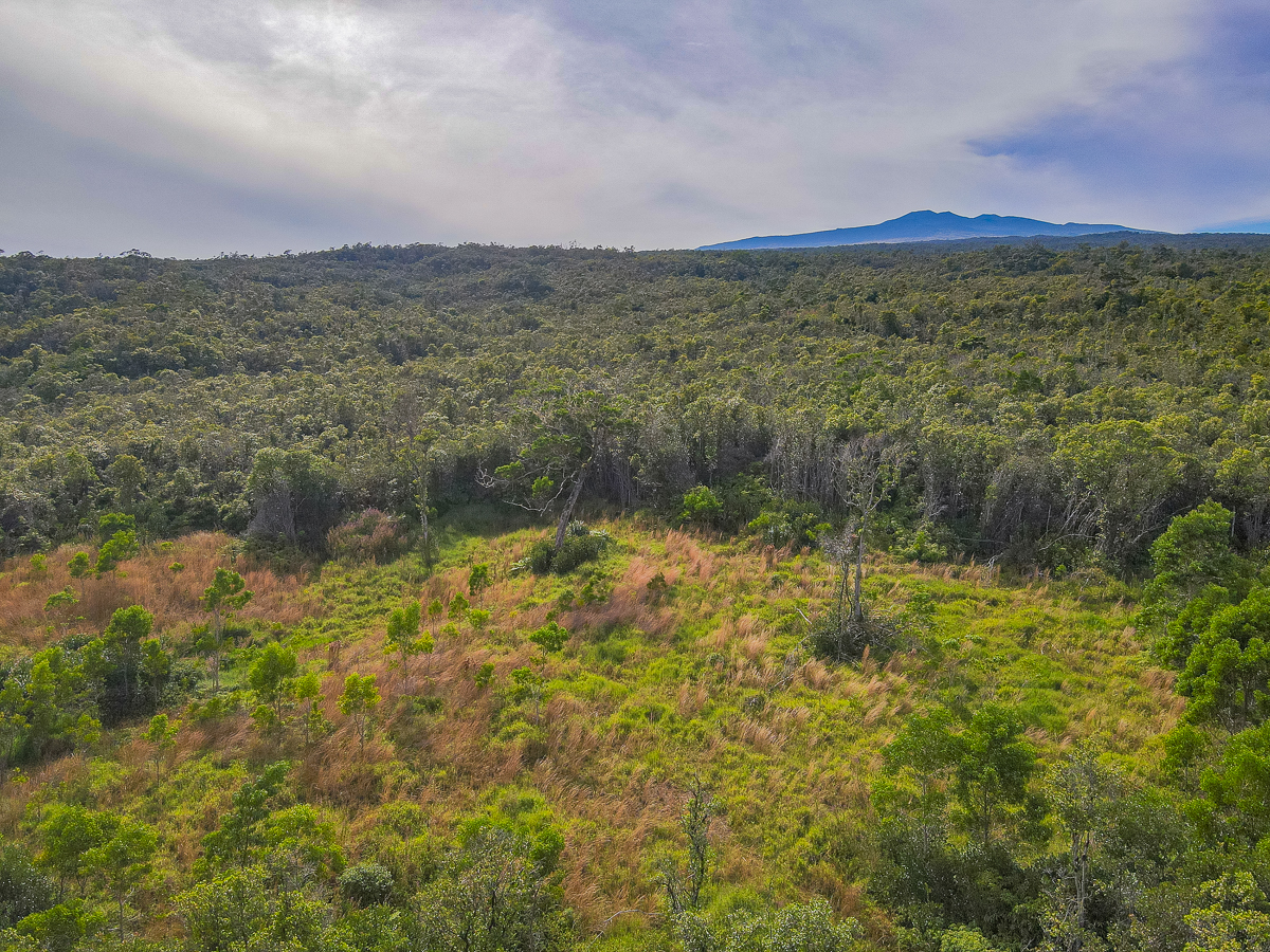 59 Upper Maulua Property Photo 2