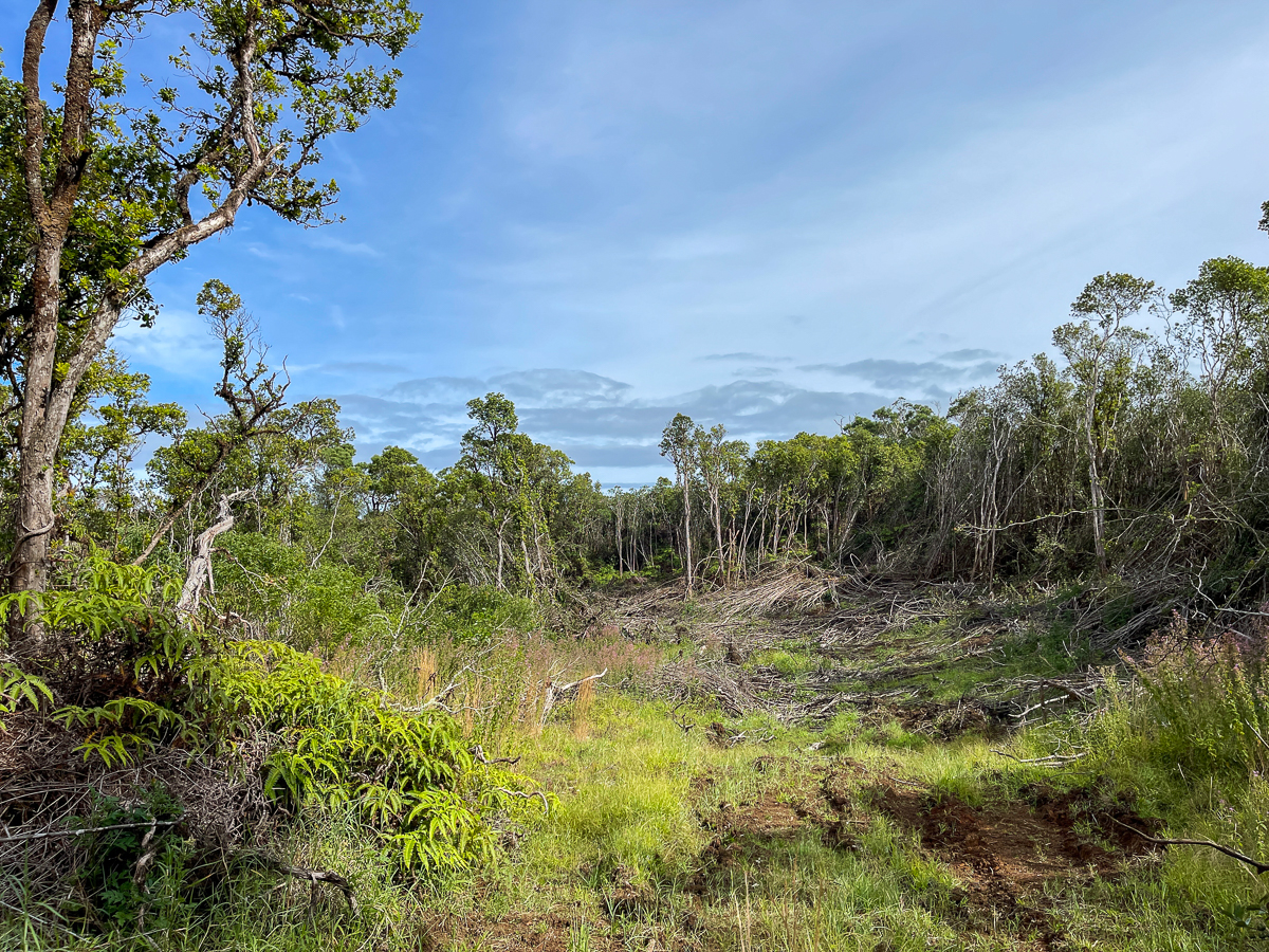 59 Upper Maulua Property Photo 4