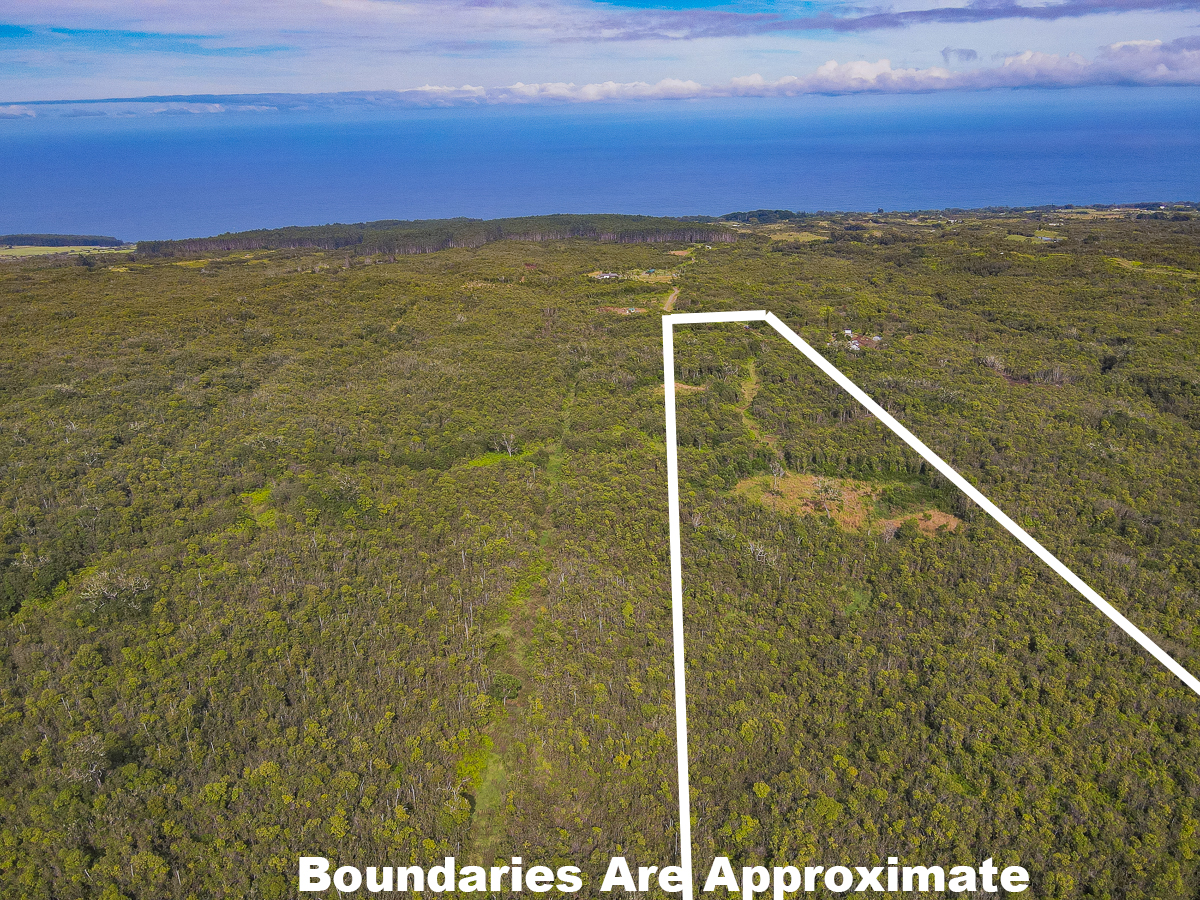 59 Upper Maulua Property Photo 6