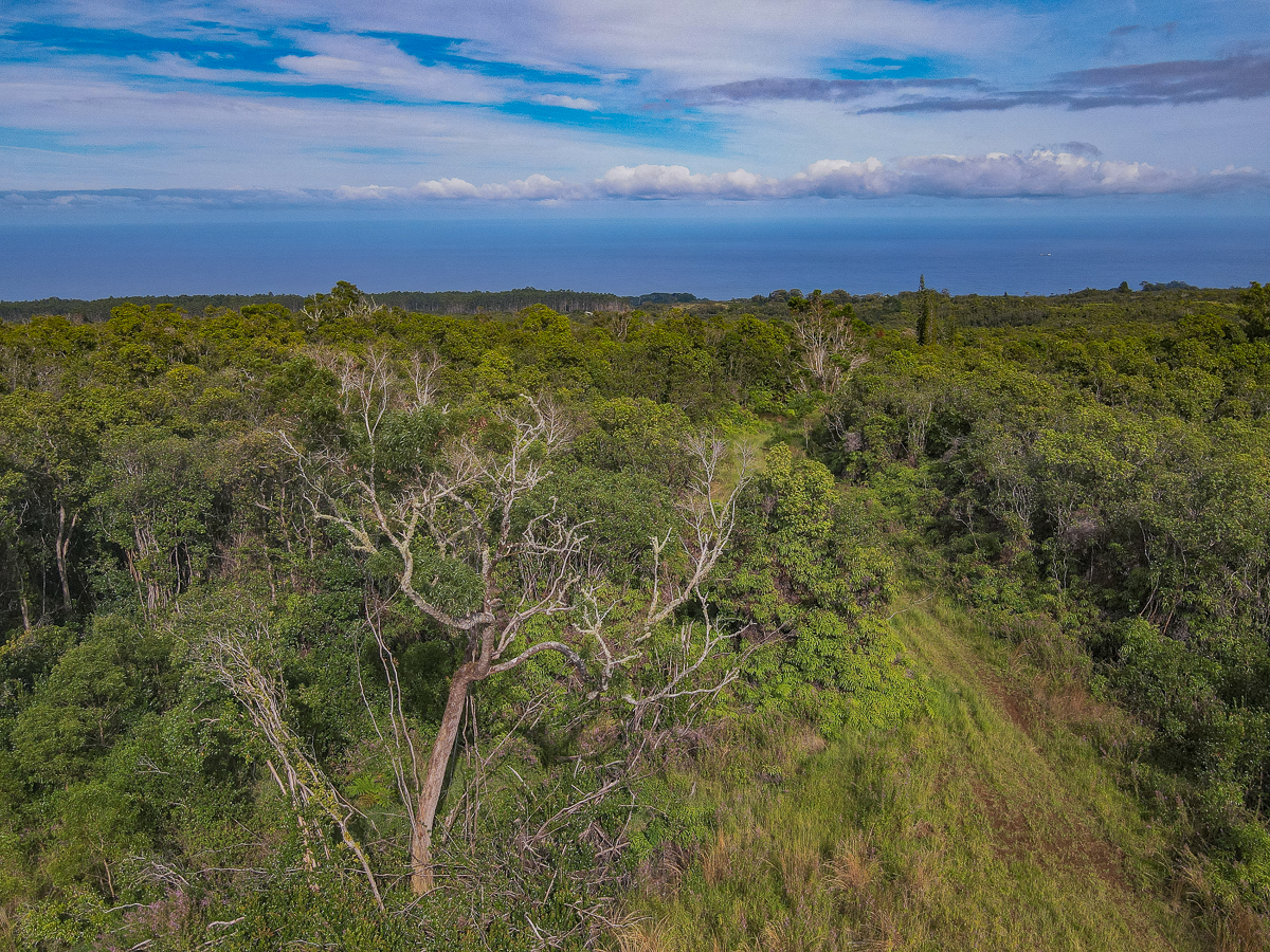 59 Upper Maulua Property Photo 11