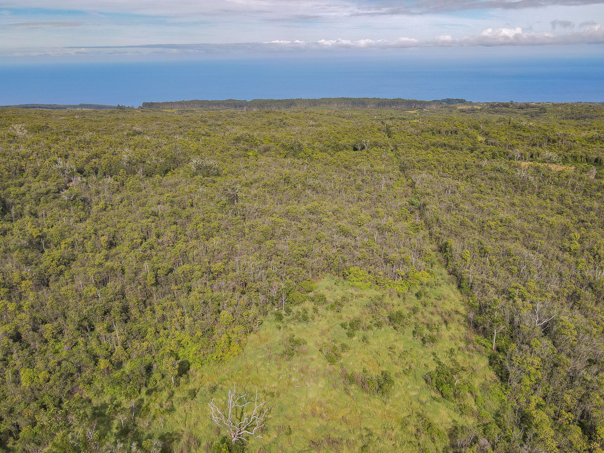 59 Upper Maulua Property Photo 12