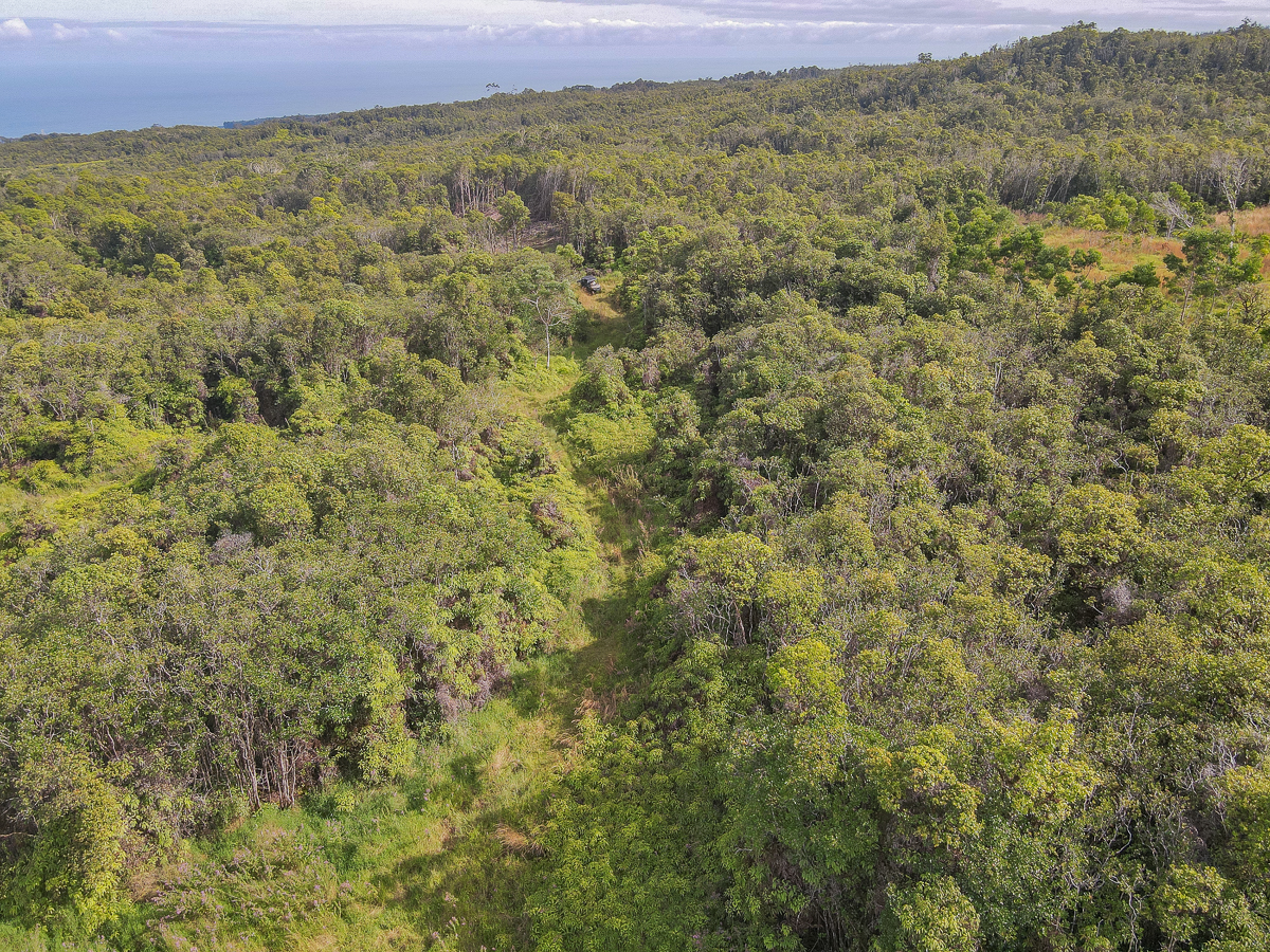 59 Upper Maulua Property Photo 14