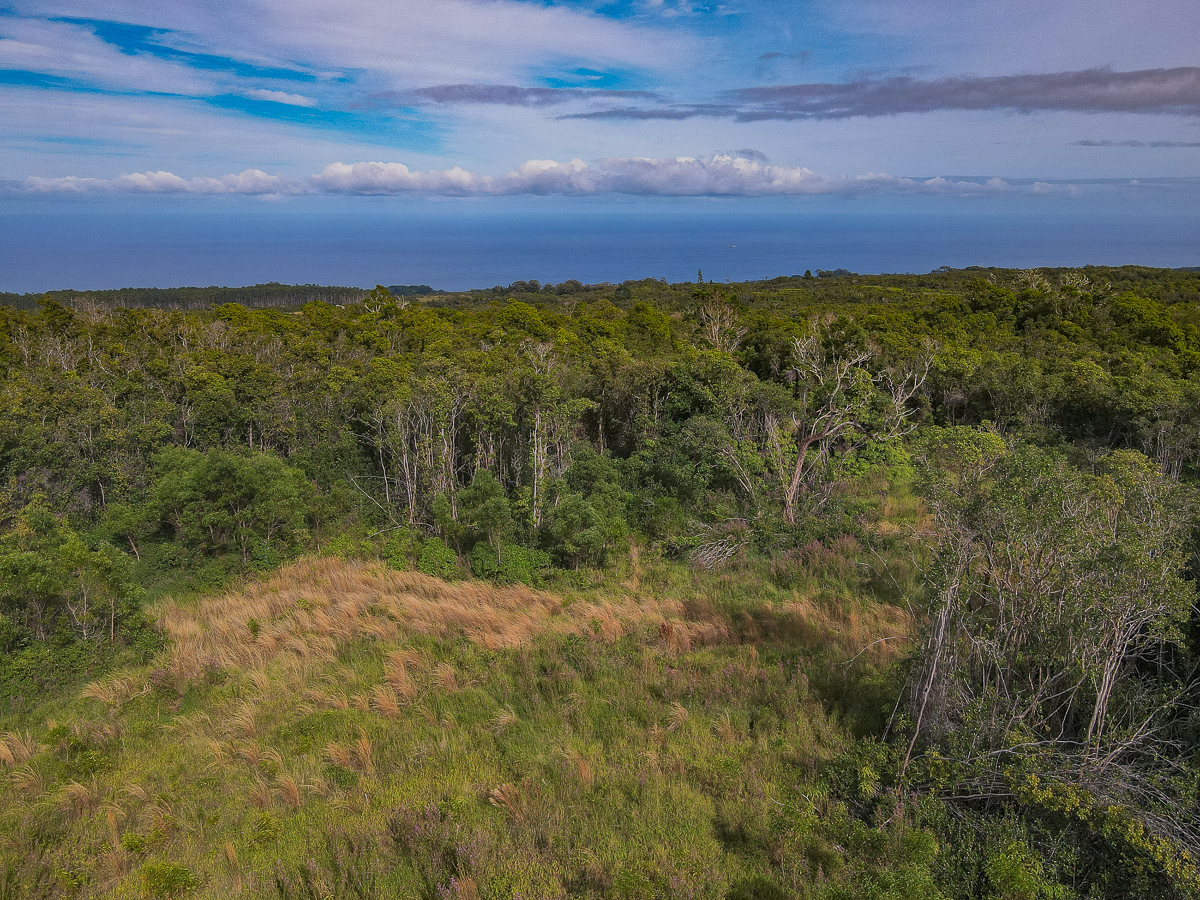 59 Upper Maulua Property Photo 16