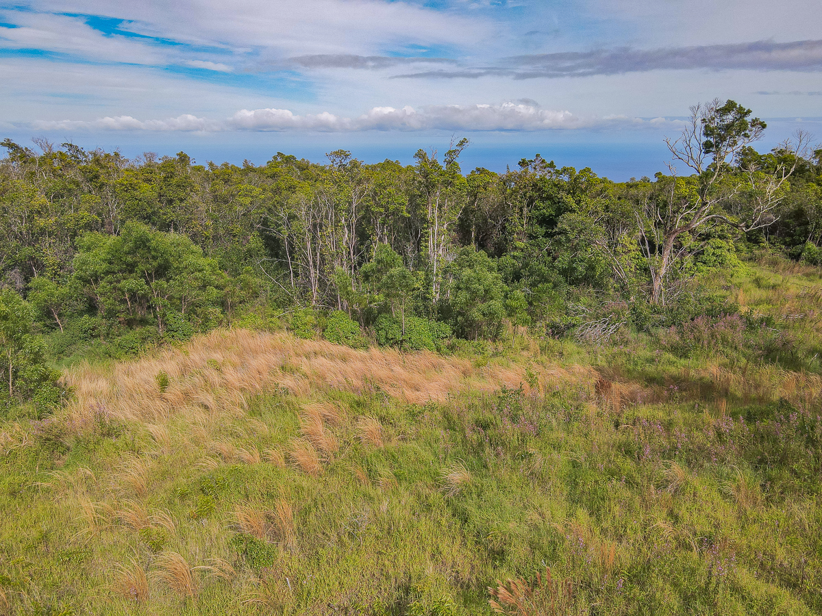 59 Upper Maulua Property Photo 17