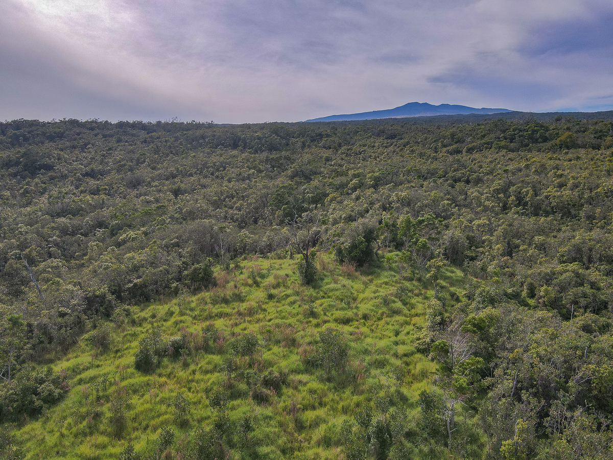 59 Upper Maulua Property Photo 18