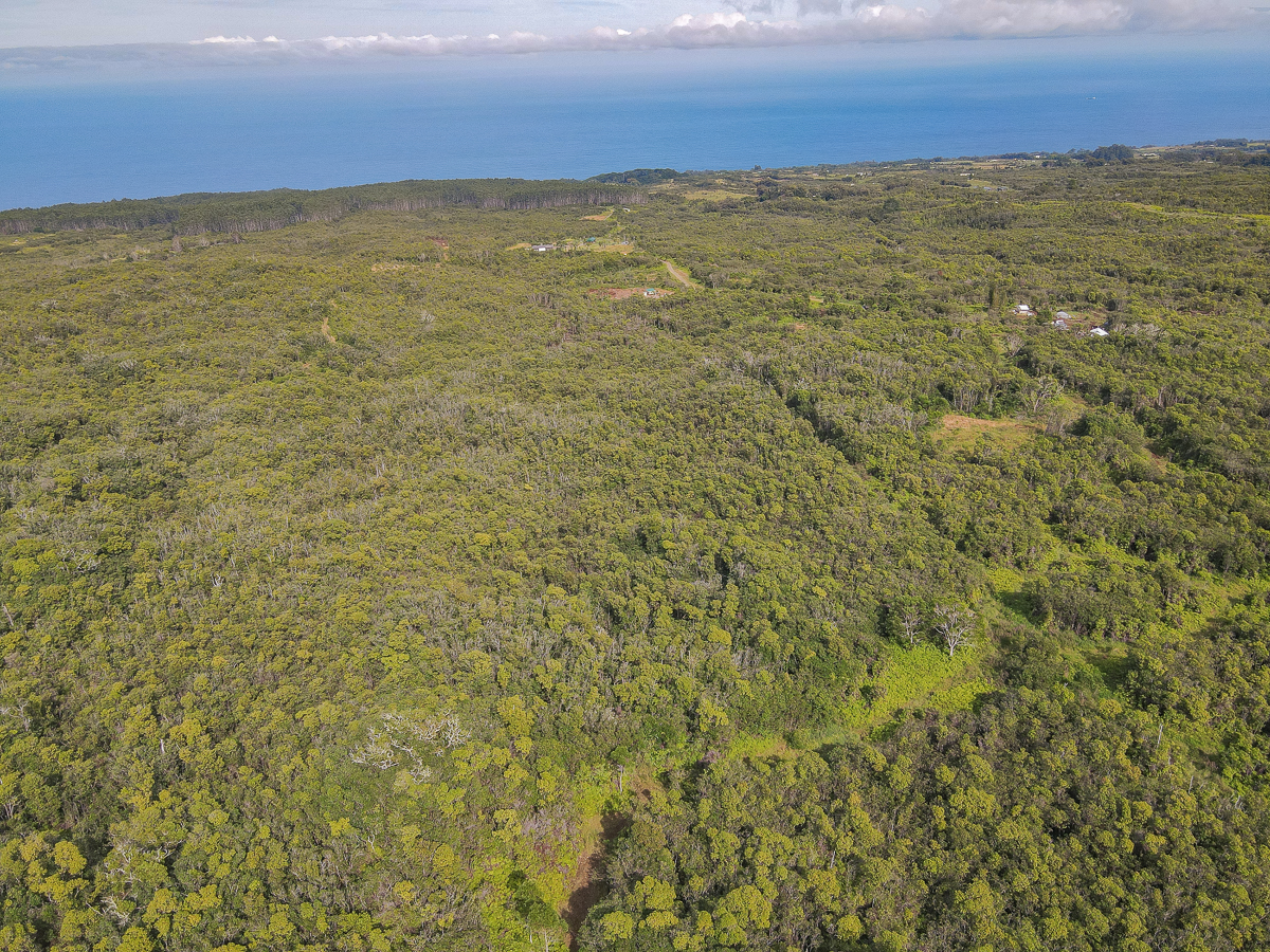 59 Upper Maulua Property Photo 20