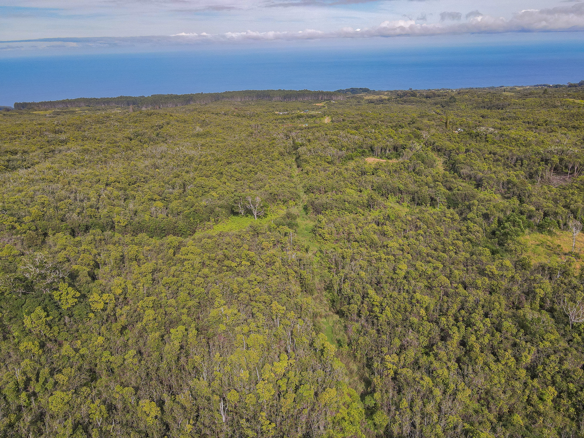 59 Upper Maulua Property Photo 22