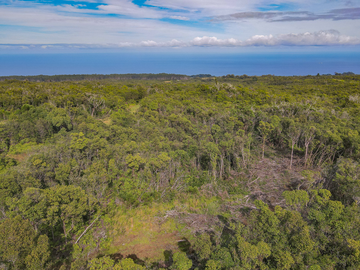 59 Upper Maulua Property Photo 23