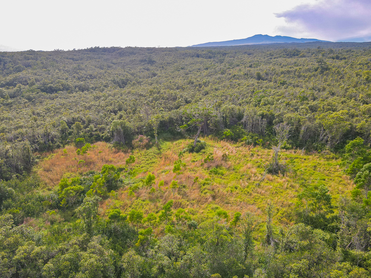 59 Upper Maulua Property Photo 24